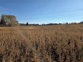 Property at 00 Rte 96a, Lodi, NY 14521