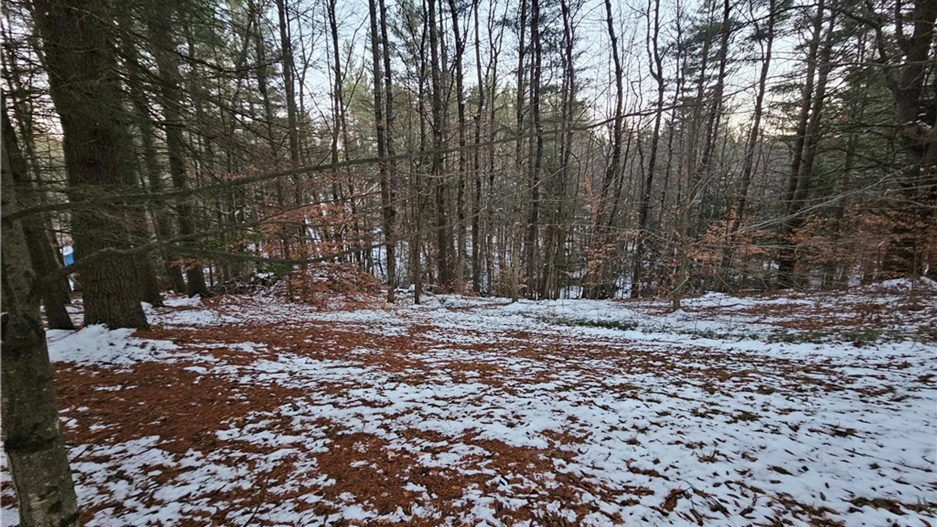 Property at 7746 Number Four Road, New Bremen, NY 13367 43