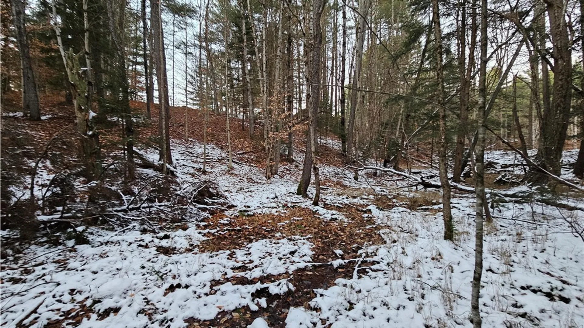 Property at 7746 Number Four Road, New Bremen, NY 13367 44