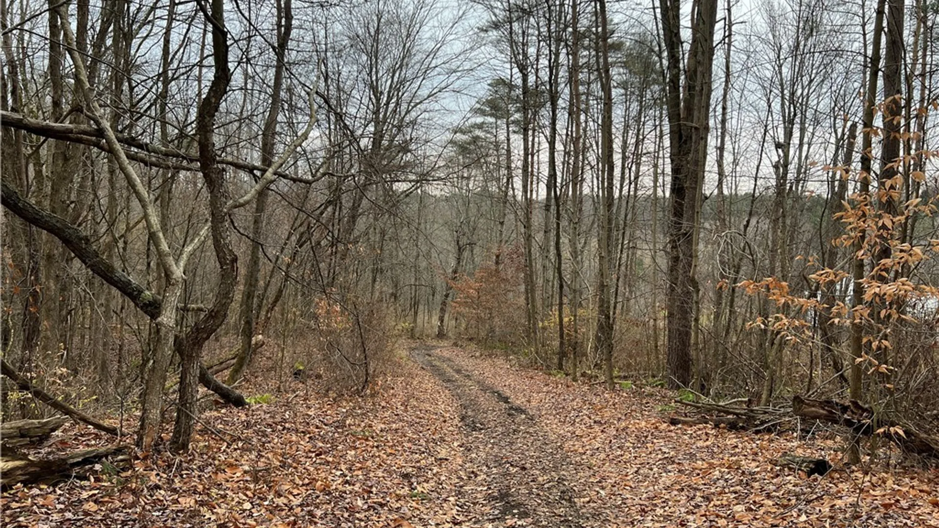Property at Feathers Creek Road, Amity, NY 14813 21