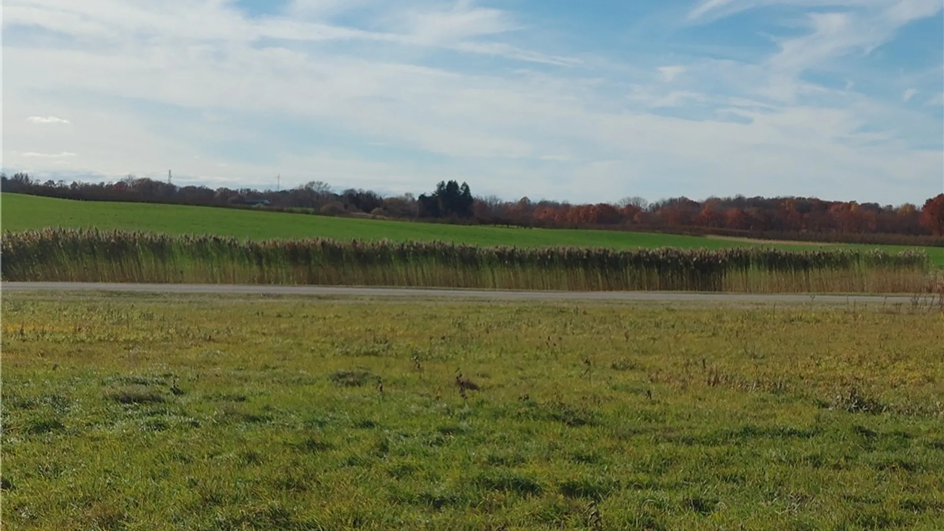 Property at 1269 Lake Pointe Drive, Newfane, NY 14008 6