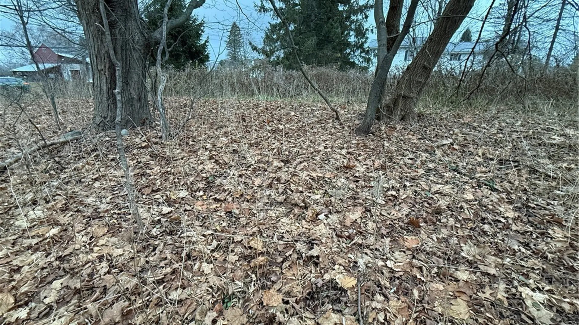 Property at 0 Harwood Drive, Sandy Creek, NY 13083 4