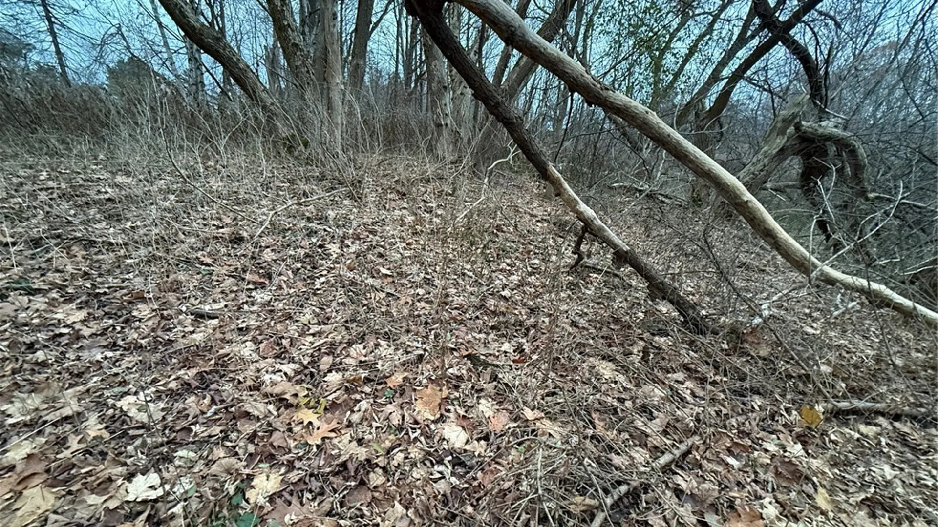 Property at 0 Harwood Drive, Sandy Creek, NY 13083 5