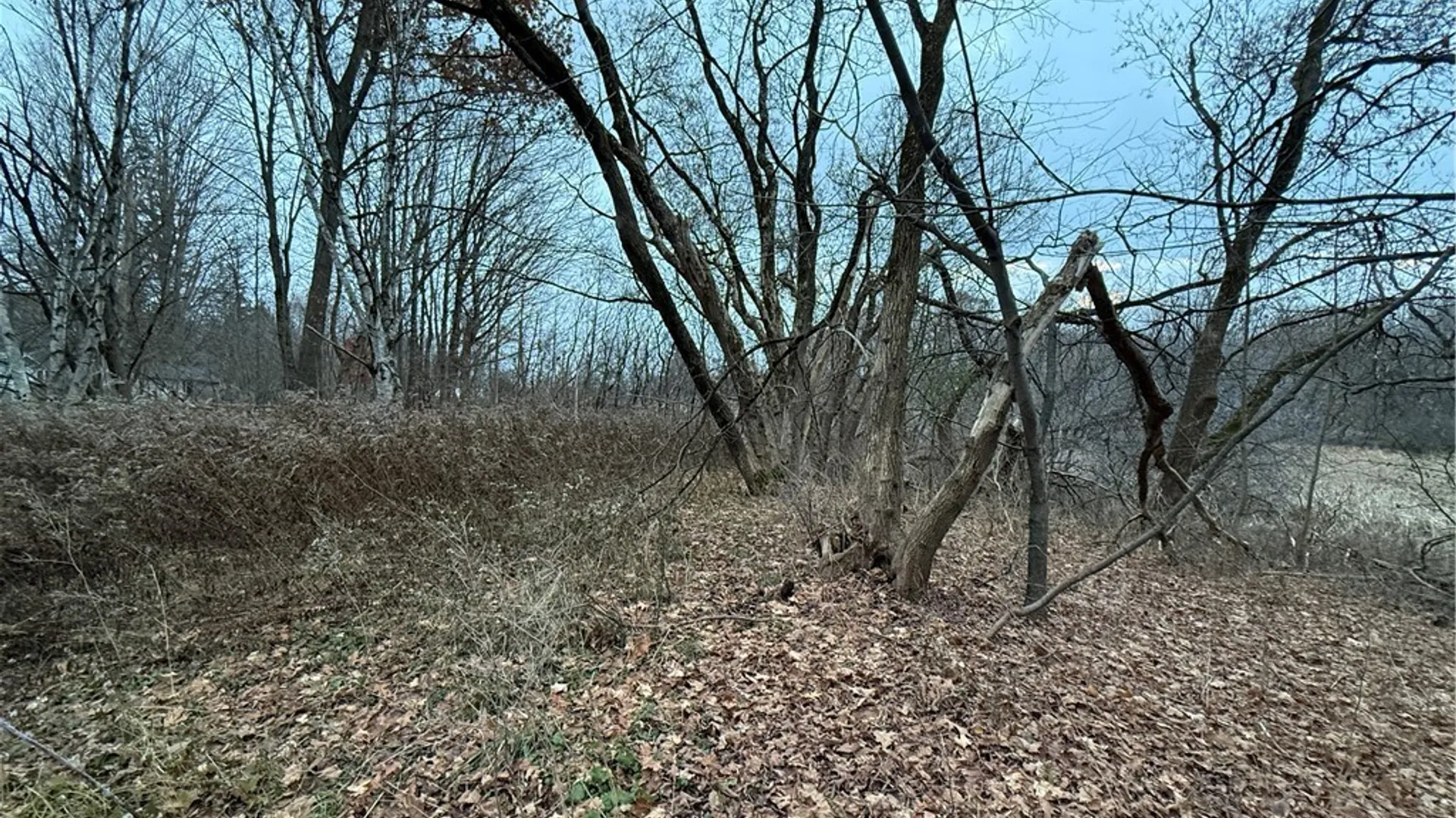 Property at 0 Harwood Drive, Sandy Creek, NY 13083 6