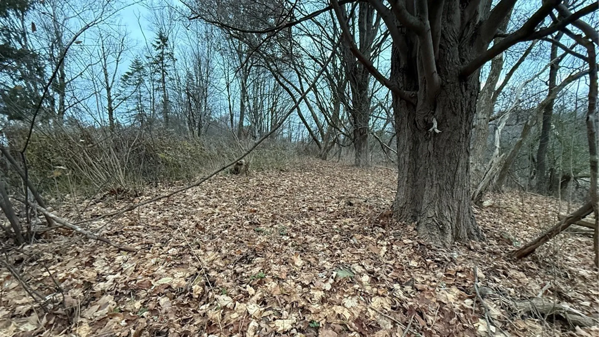 Property at 0 Harwood Drive, Sandy Creek, NY 13083 7