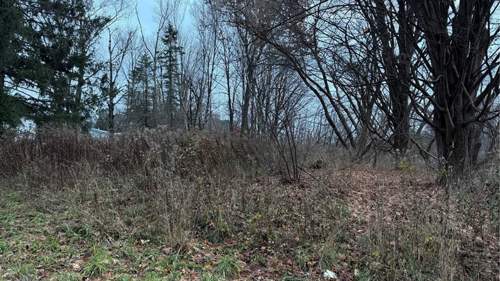 Property at 0 Harwood Drive, Sandy Creek, NY 13083 9