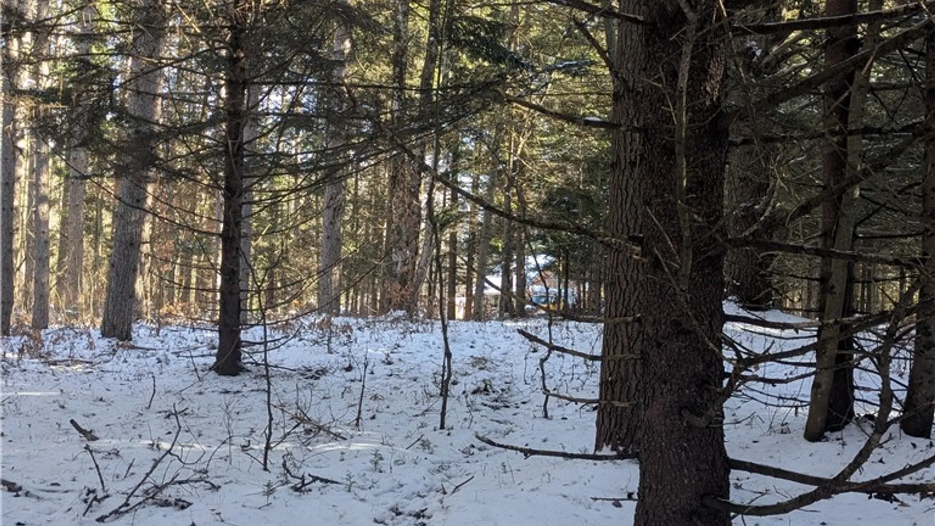 Property at Bellingertown Road, Forestport, NY 13338 10