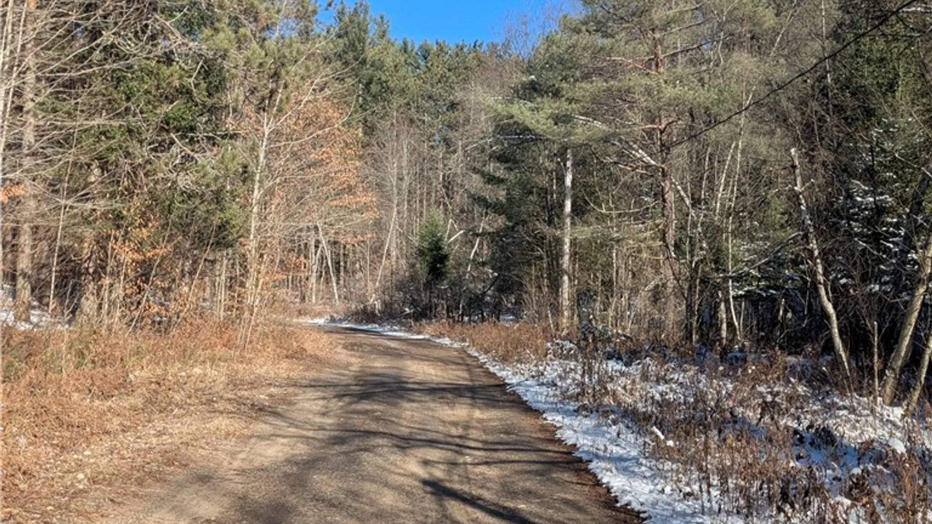 Property at Bellingertown Road, Forestport, NY 13338 11