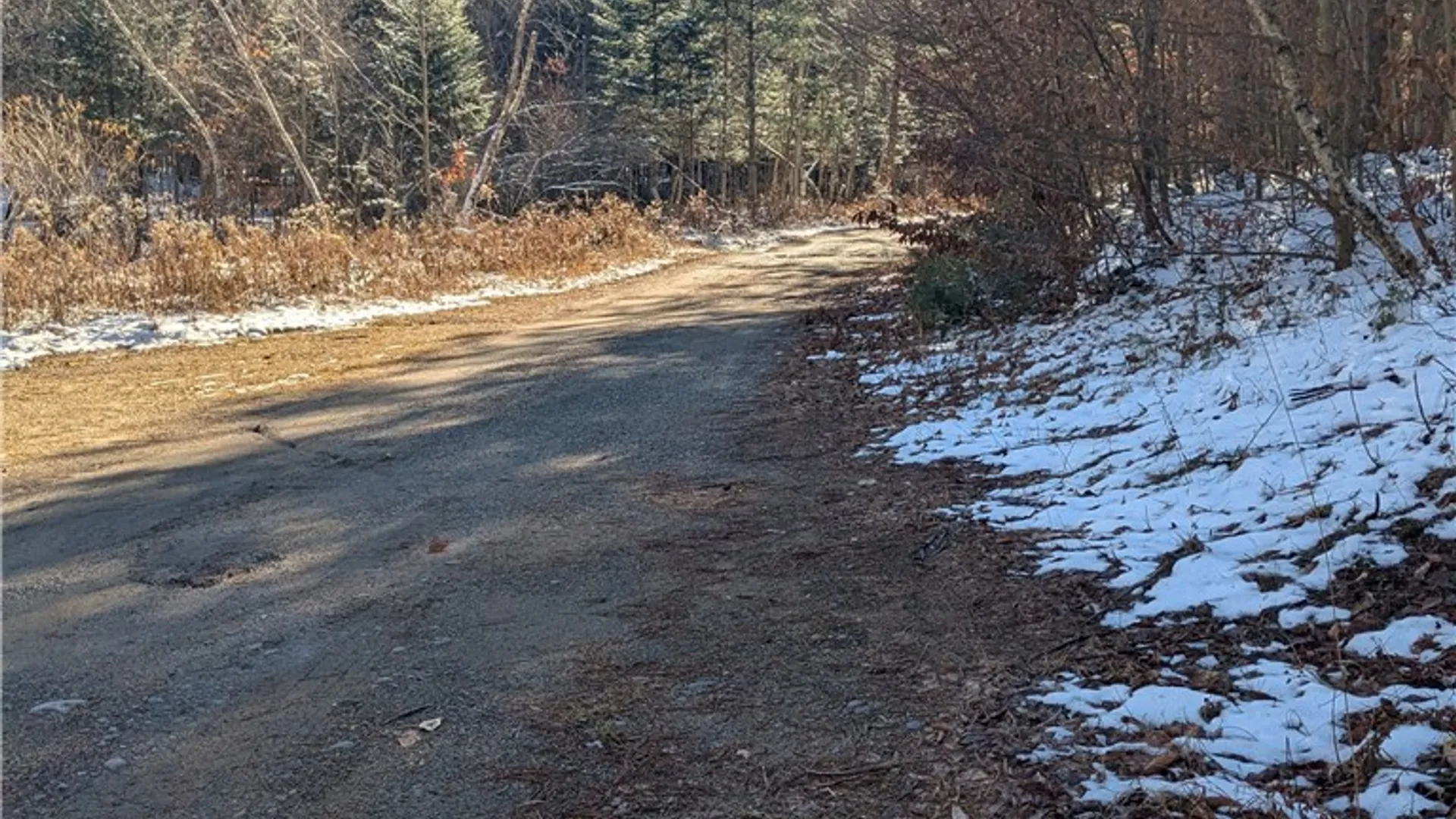 Property at Bellingertown Road, Forestport, NY 13338 12