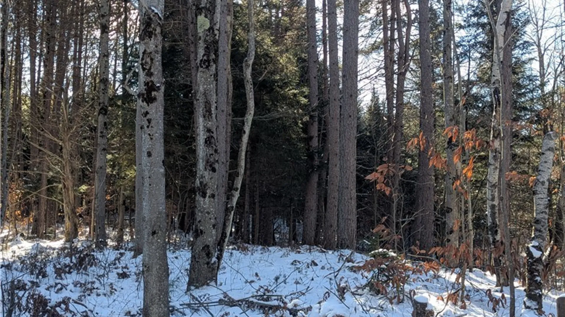 Property at Bellingertown Road, Forestport, NY 13338 15