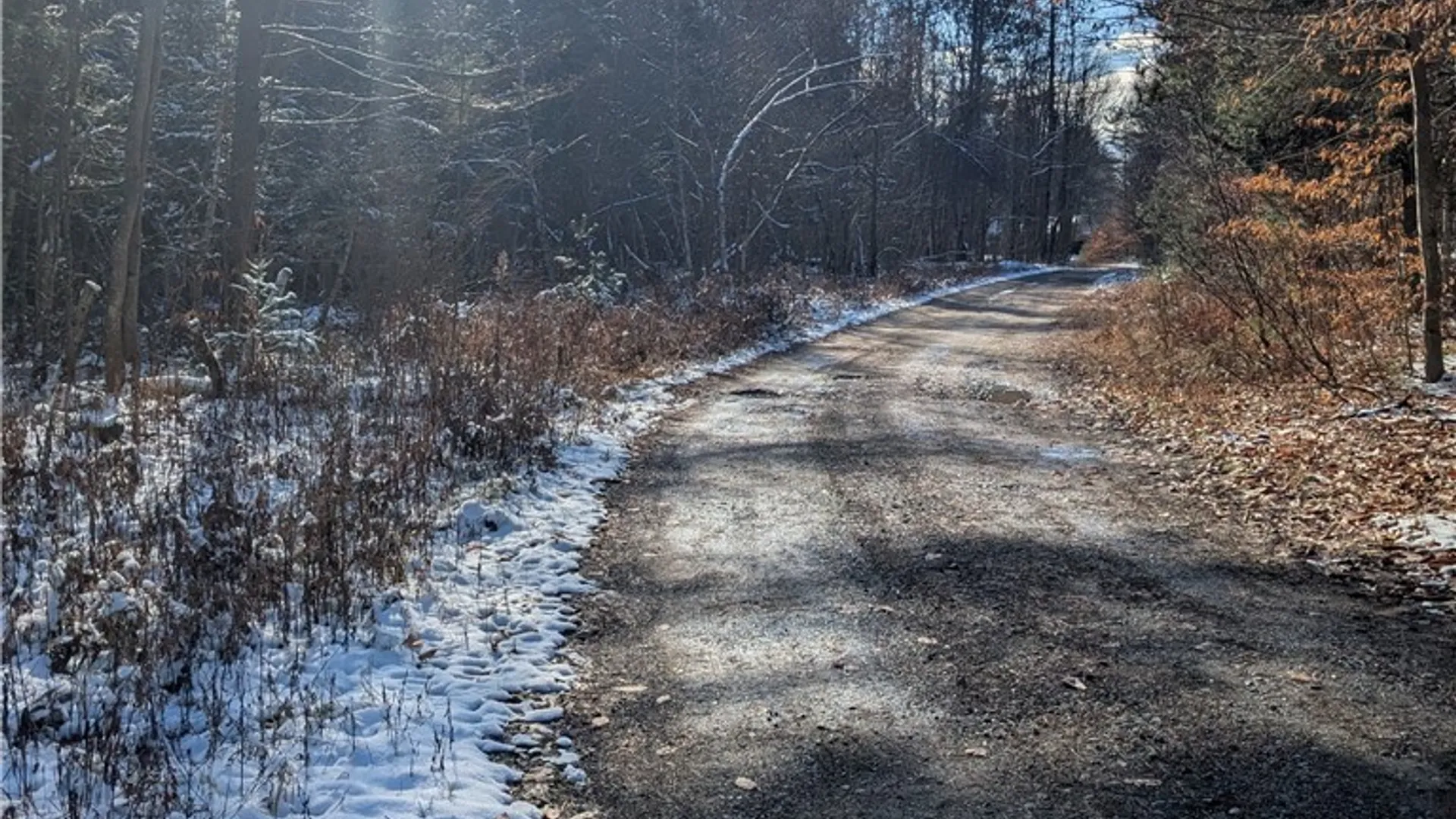 Property at Bellingertown Road, Forestport, NY 13338 3