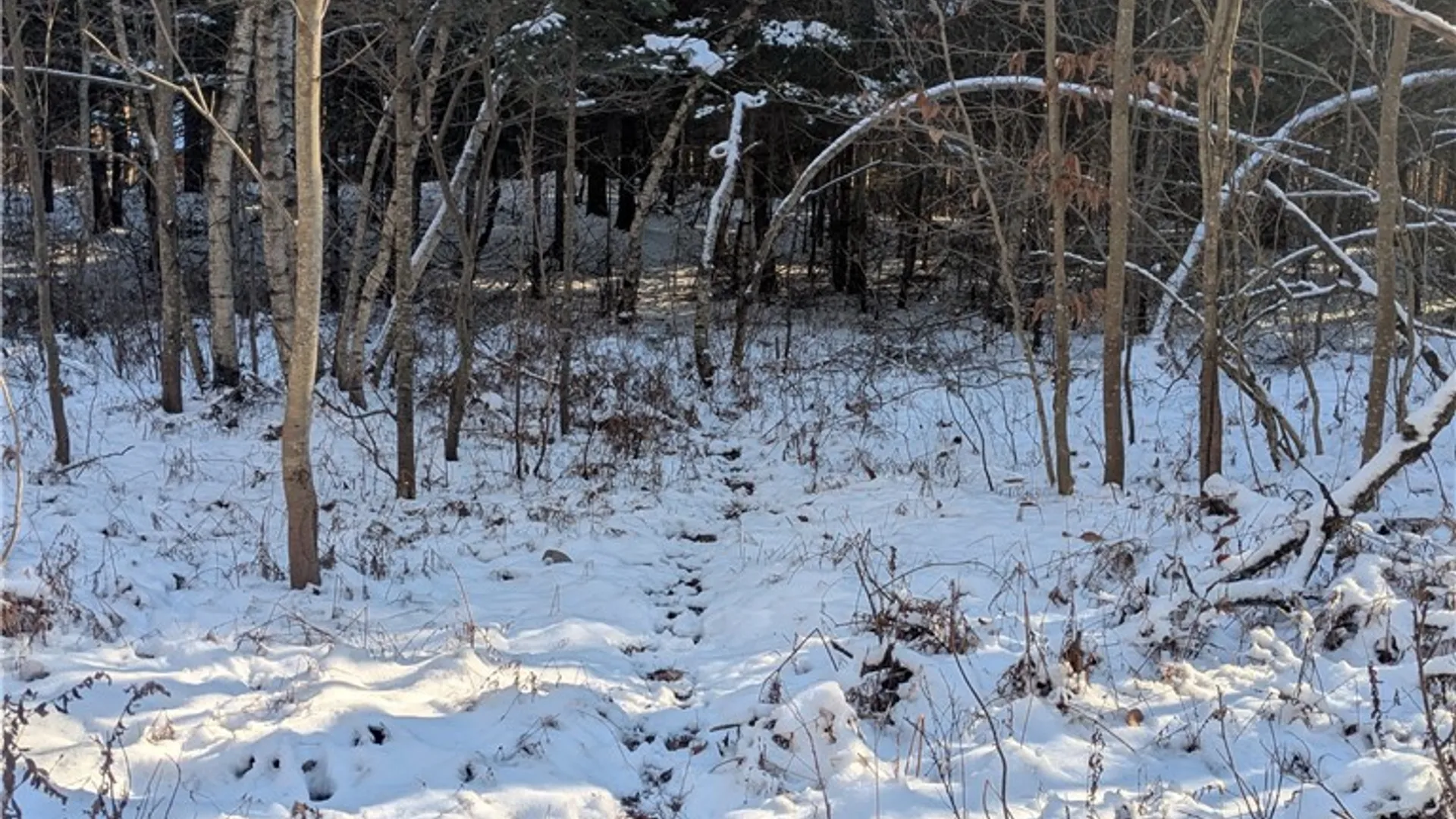 Property at Bellingertown Road, Forestport, NY 13338 4