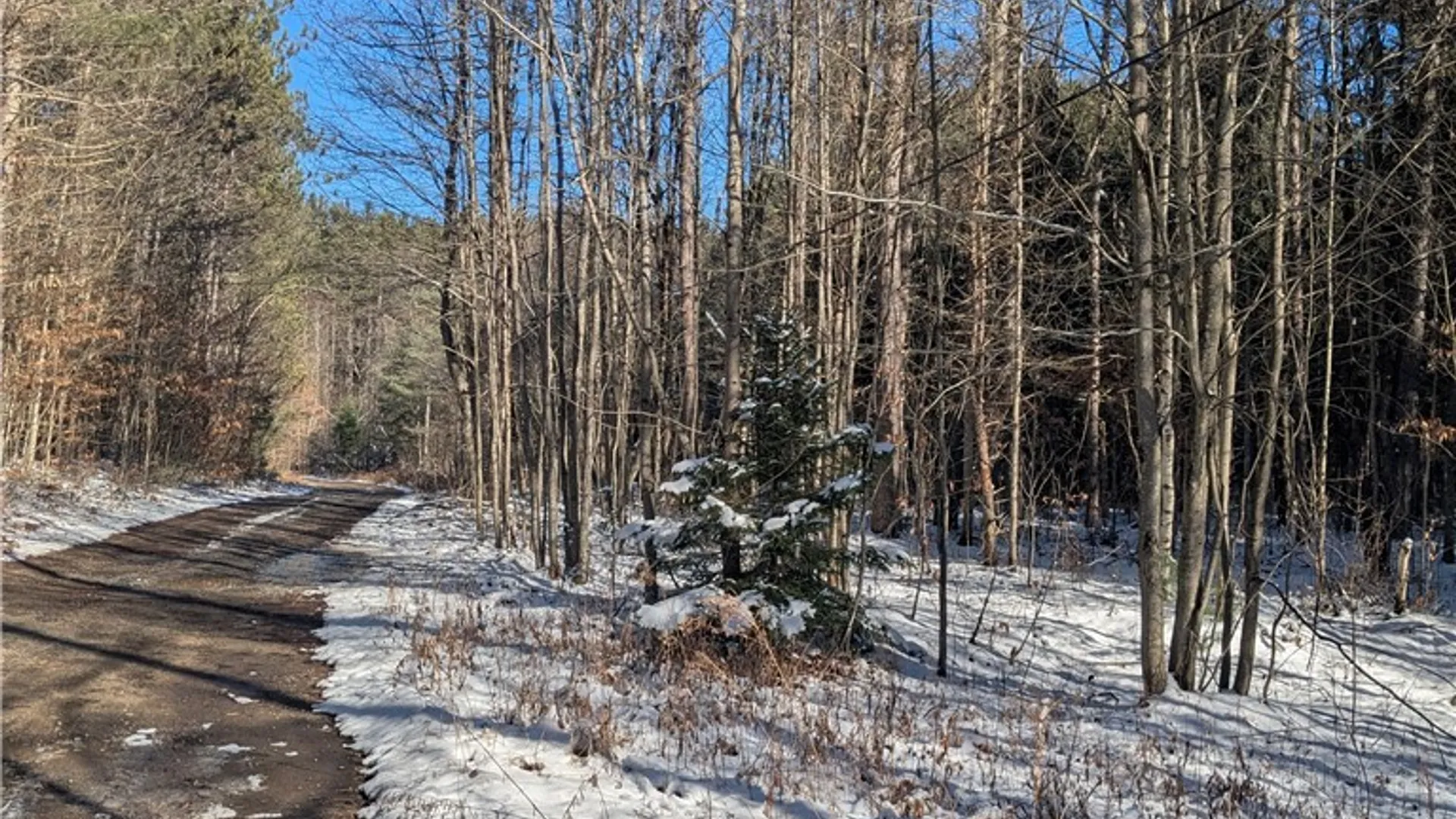 Property at Bellingertown Road, Forestport, NY 13338 5