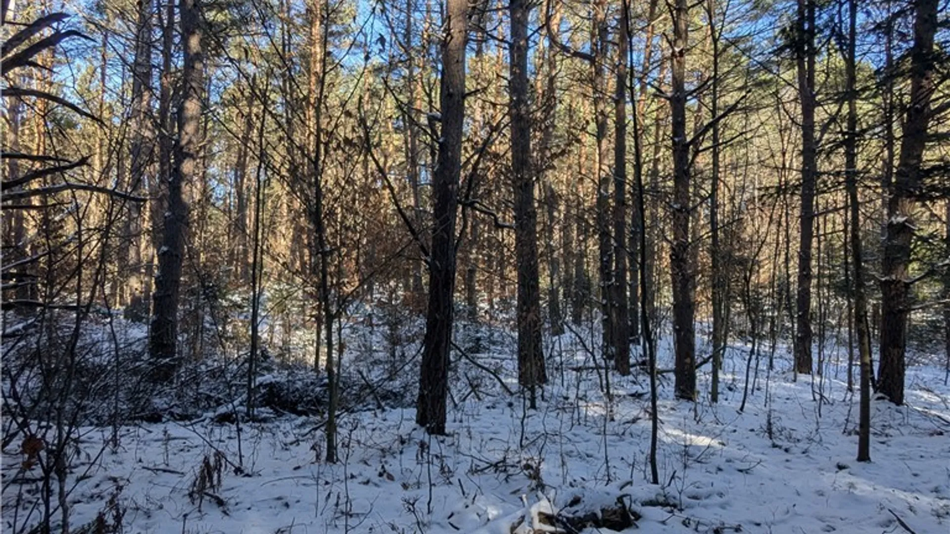 Property at Bellingertown Road, Forestport, NY 13338 7