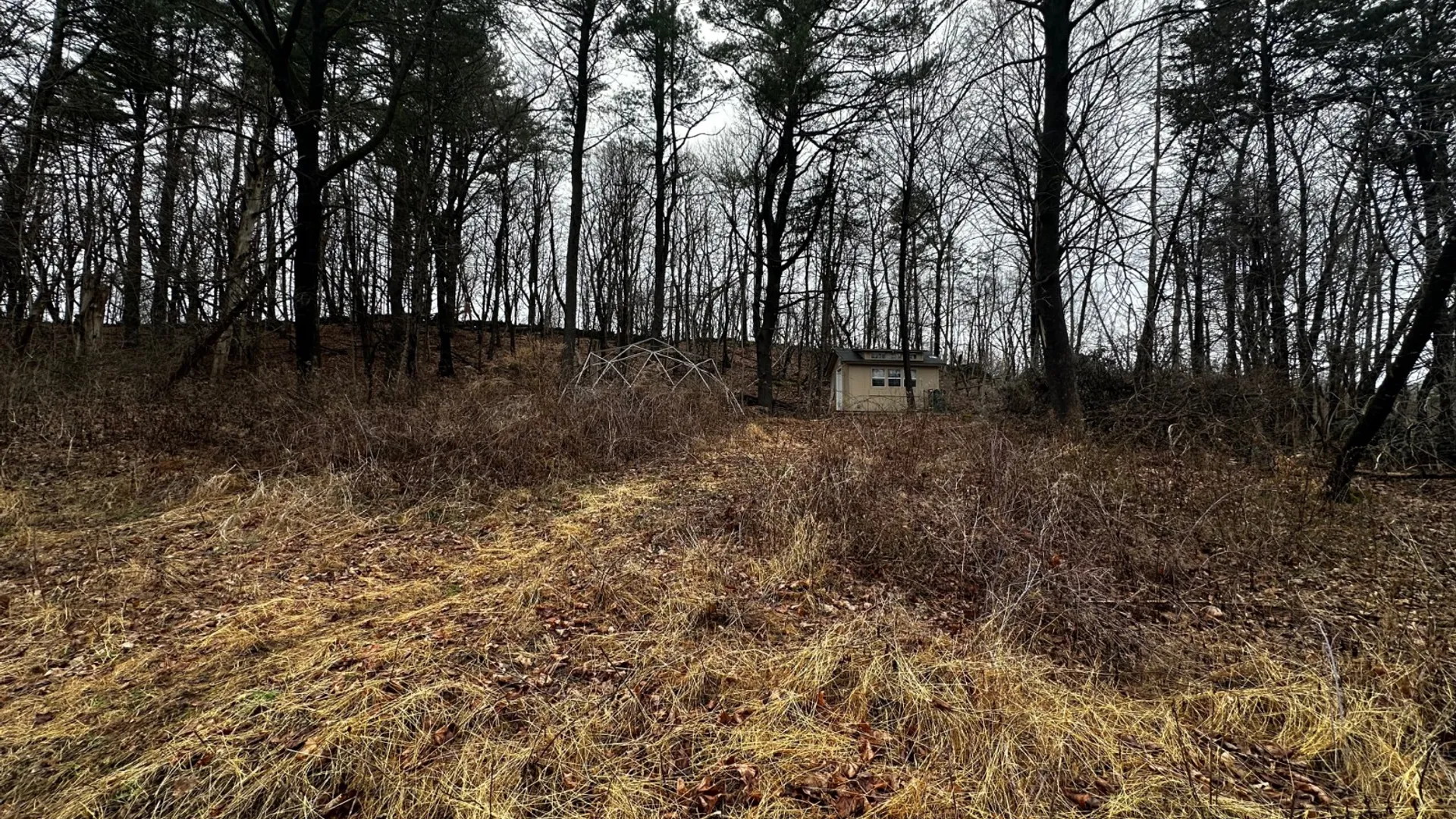 Property at 189 County Route 26, Coxsackie, NY 12042 10