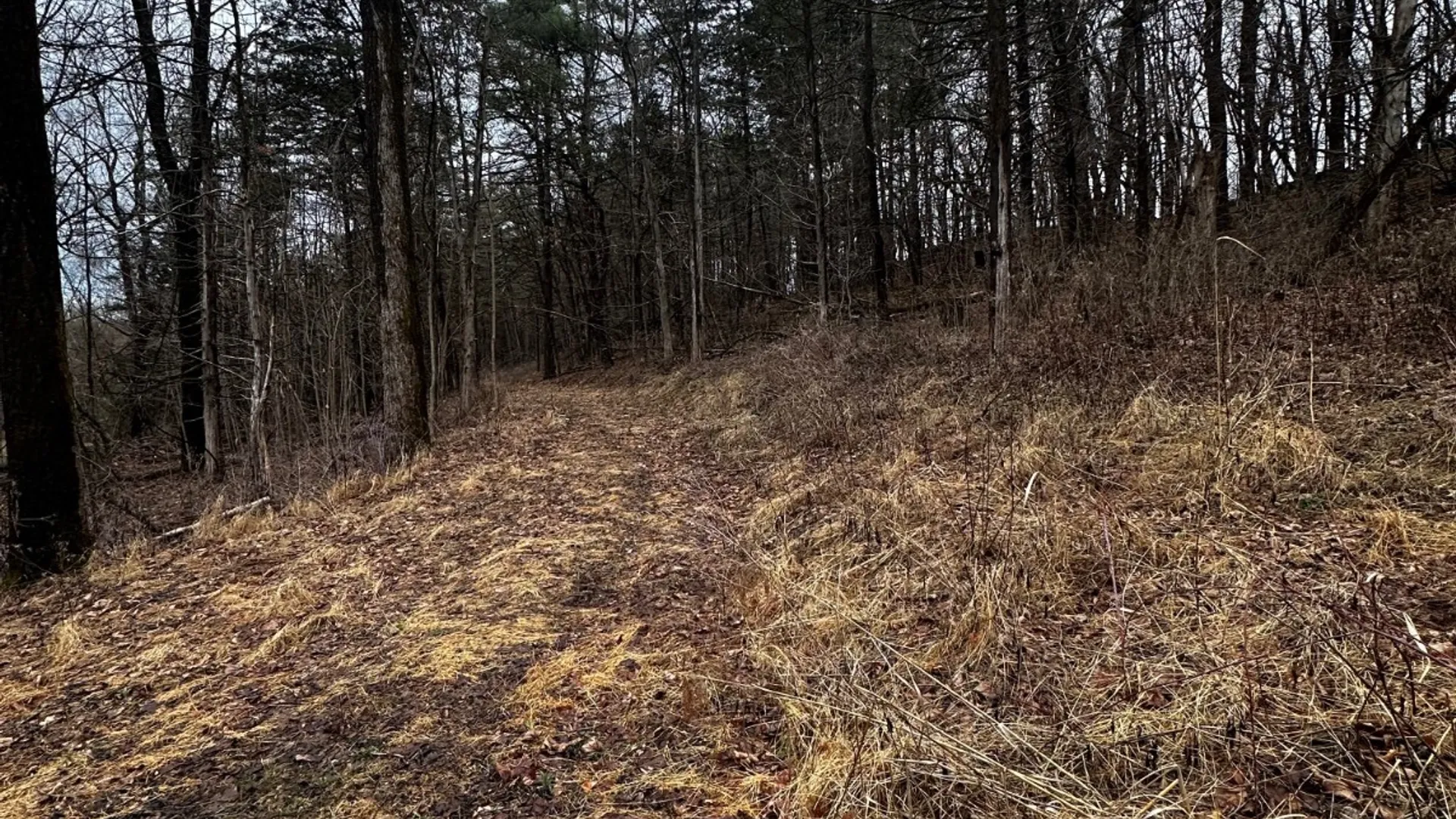 Property at 189 County Route 26, Coxsackie, NY 12042 20