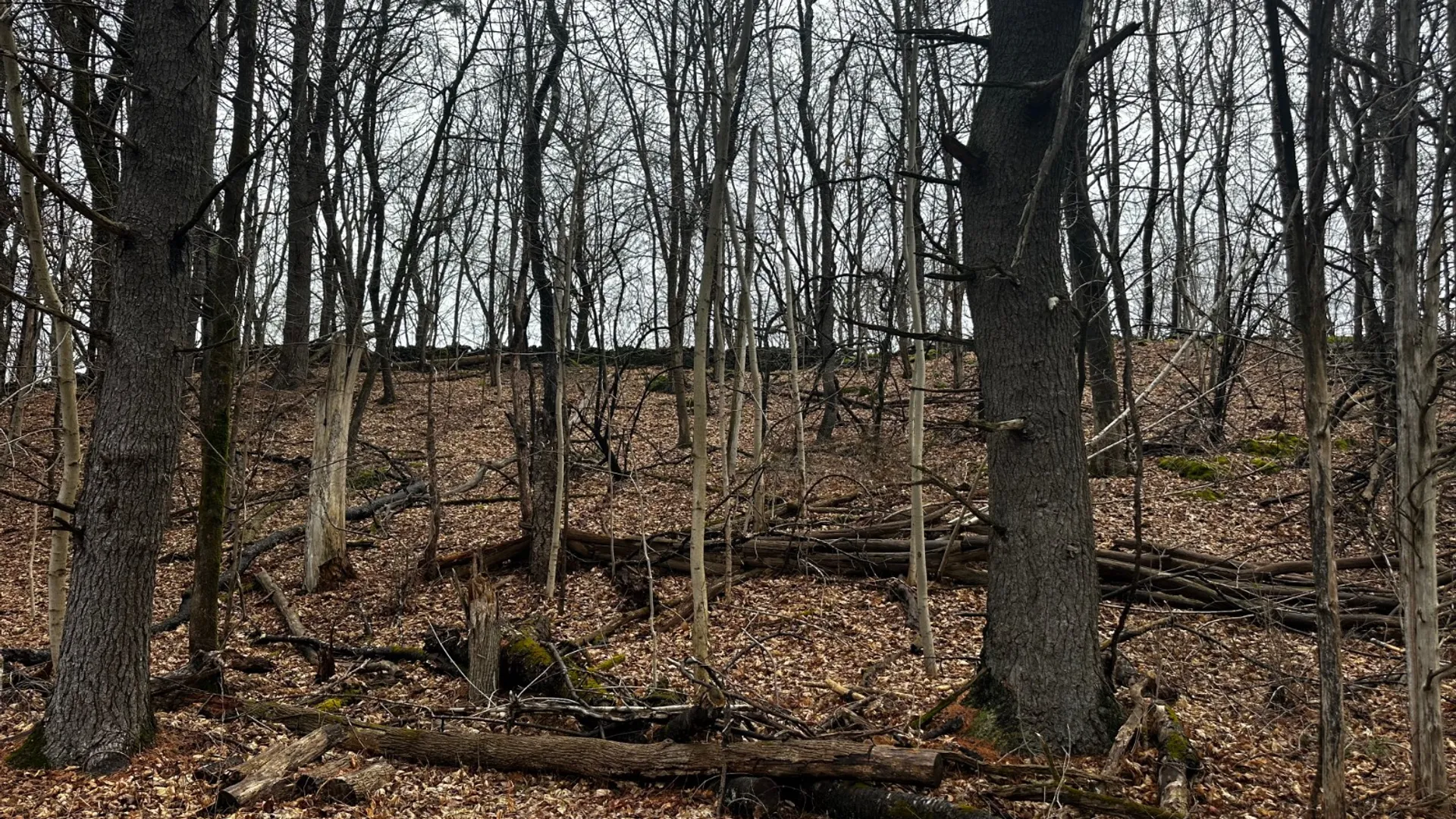 Property at 189 County Route 26, Coxsackie, NY 12042 21