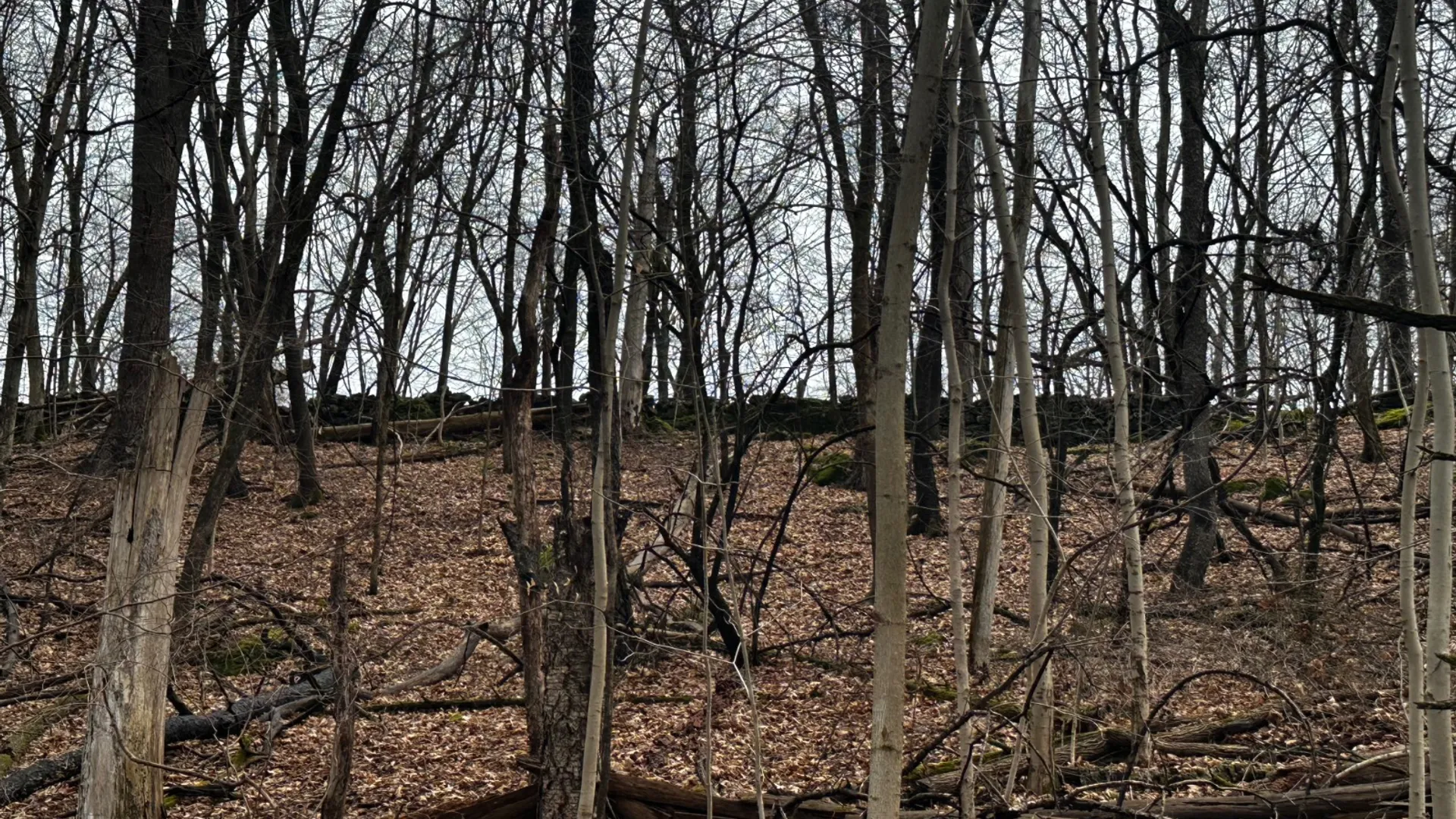 Property at 189 County Route 26, Coxsackie, NY 12042 22