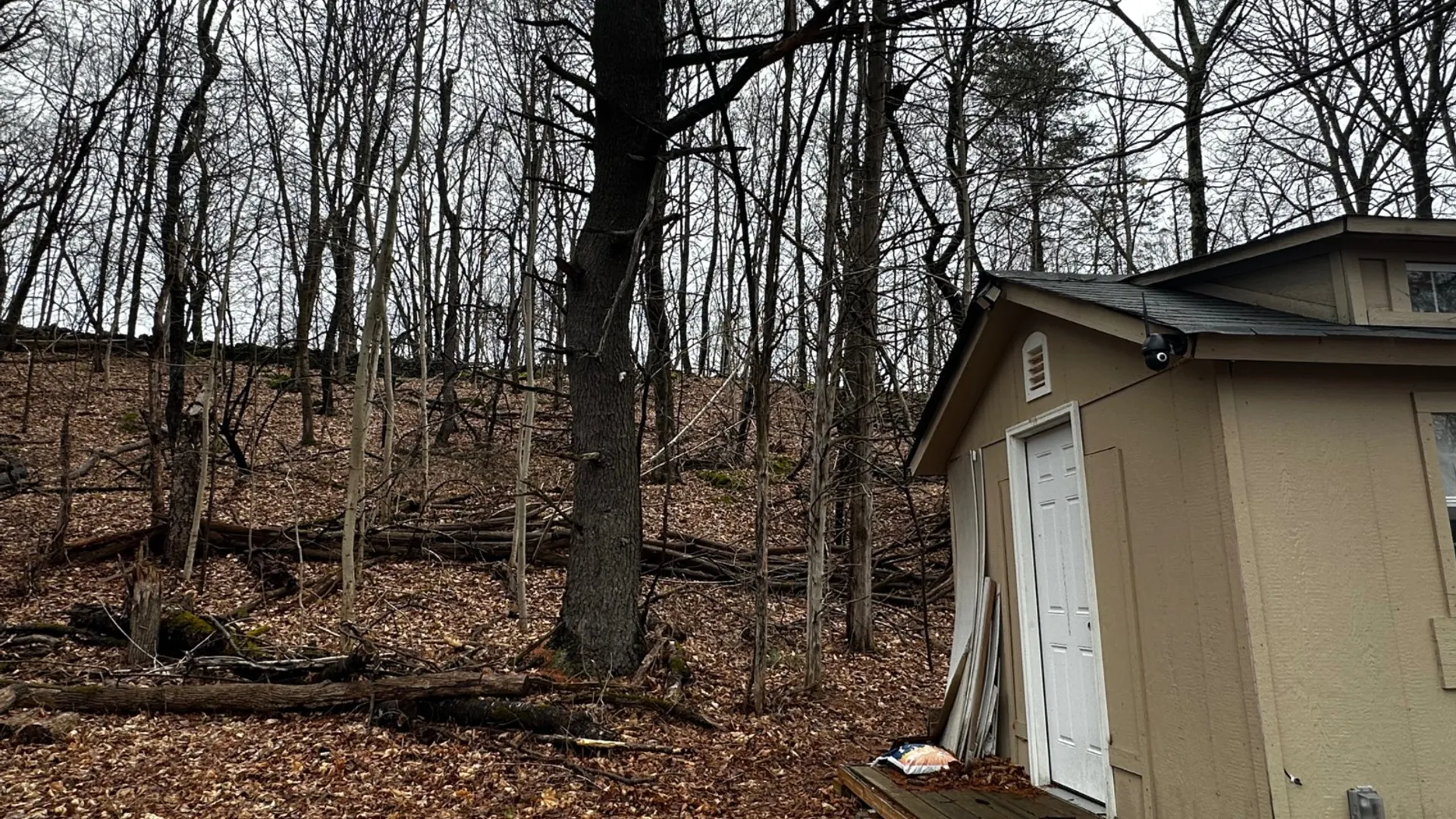 Property at 189 County Route 26, Coxsackie, NY 12042 23