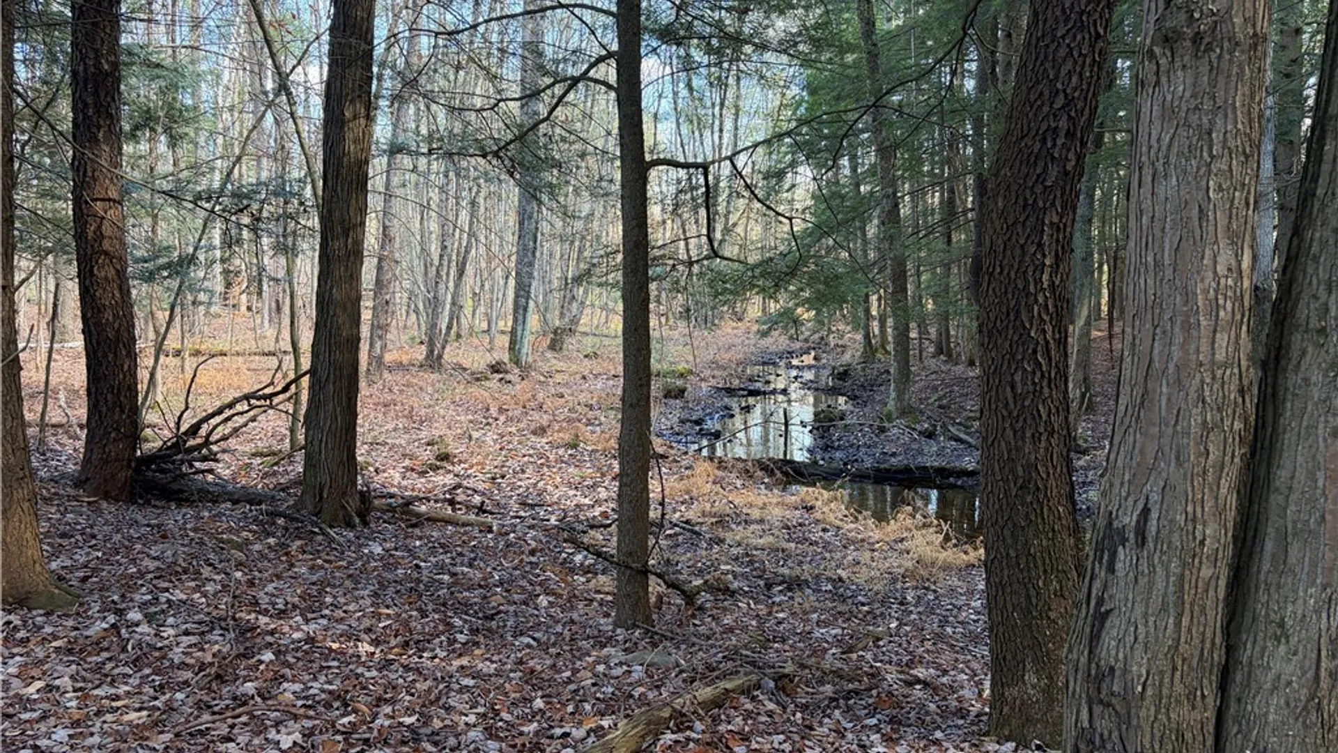 Property at 482 County Route 11, West Monroe, NY 13167 7
