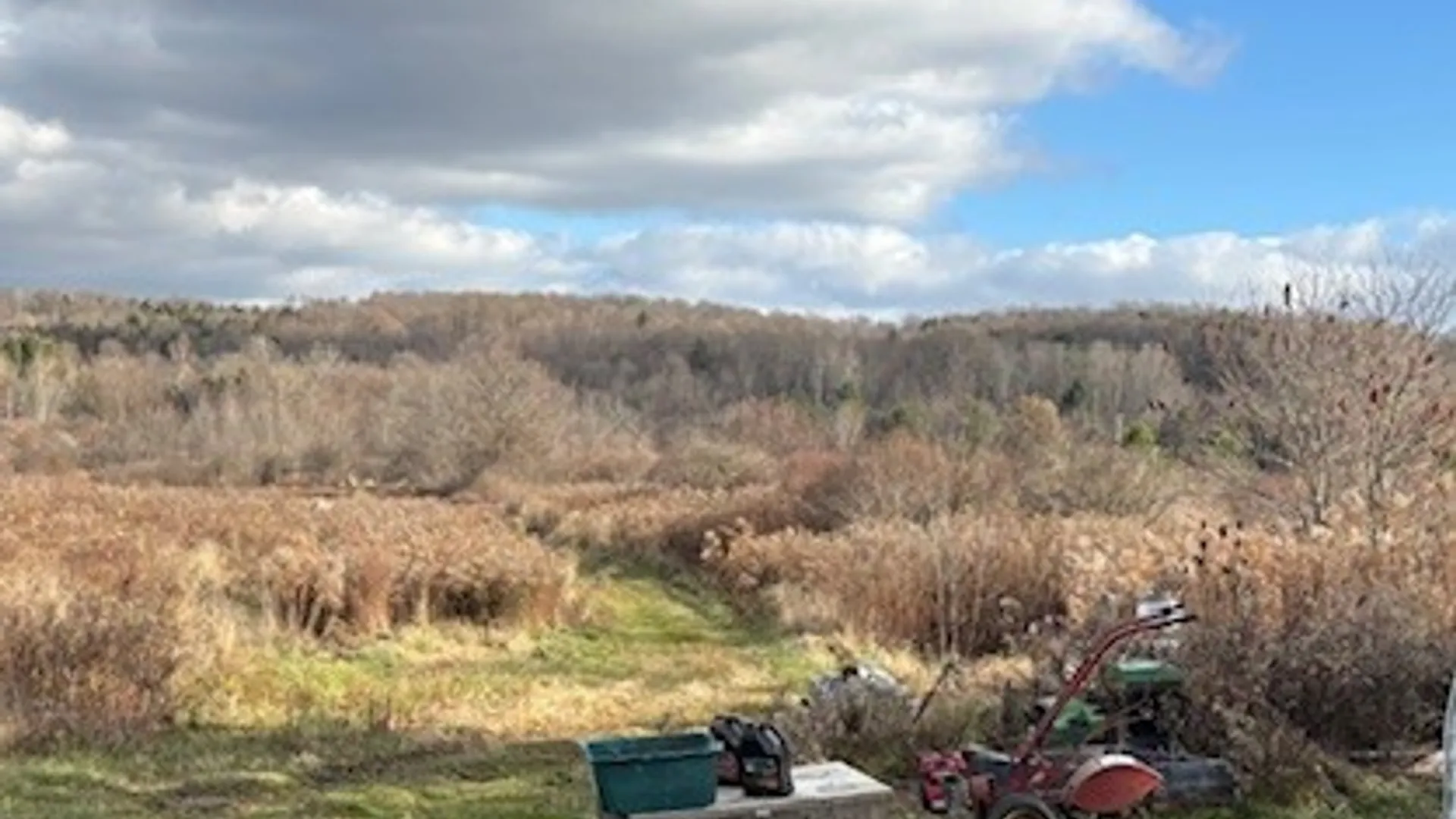 Property at 11156 Weaver Road, Yorkshire, NY 14042 16