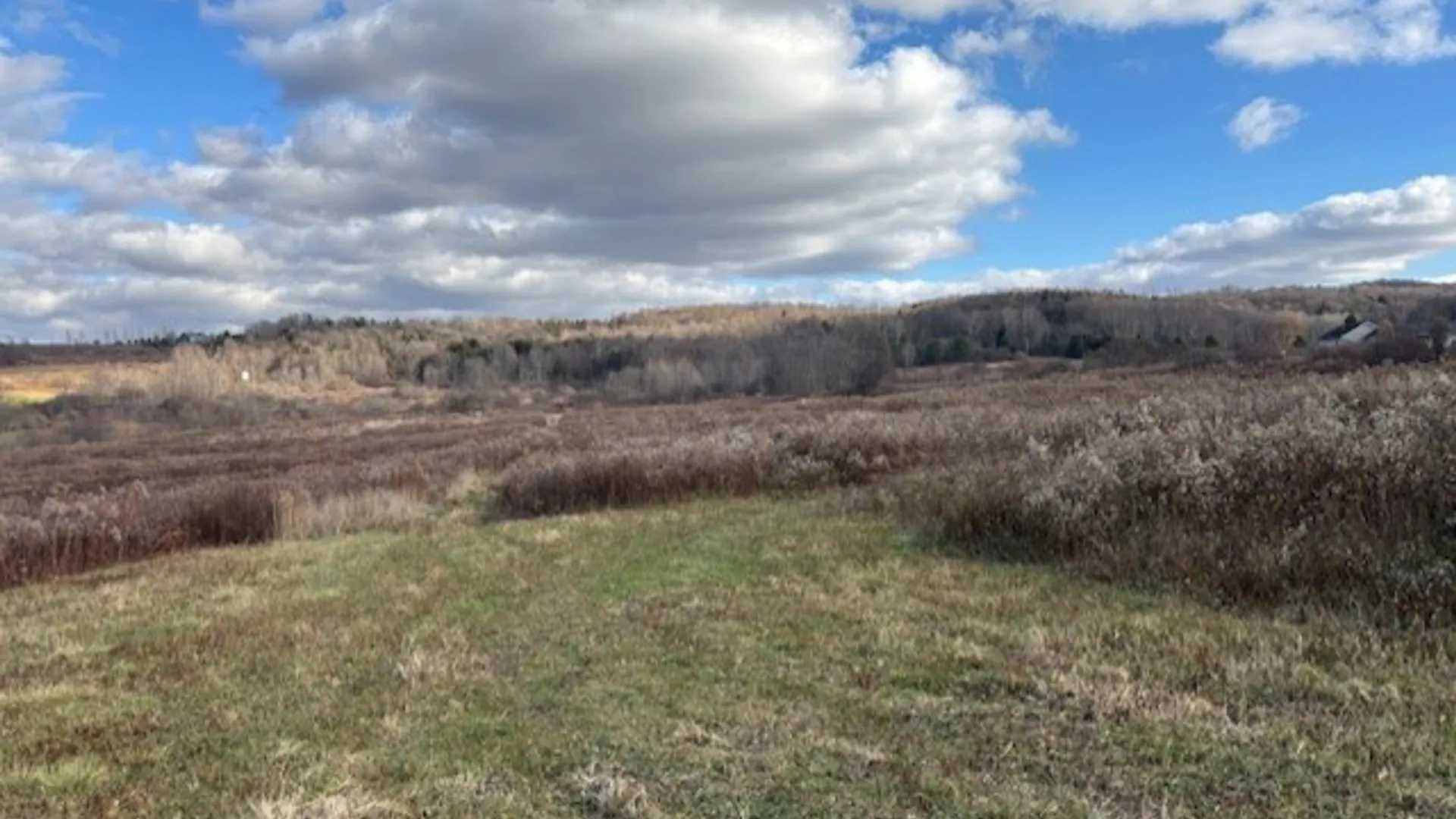 Property at 11156 Weaver Road, Yorkshire, NY 14042 19