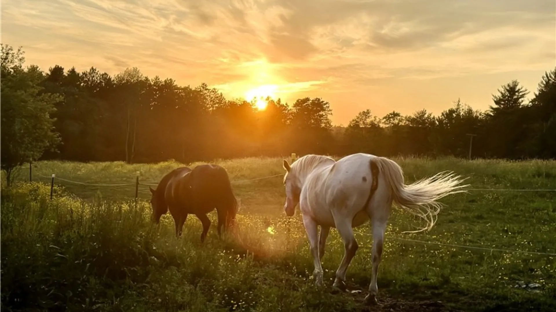 Property at 45 Chaffee Creek Road, Newfield, NY 14867 46