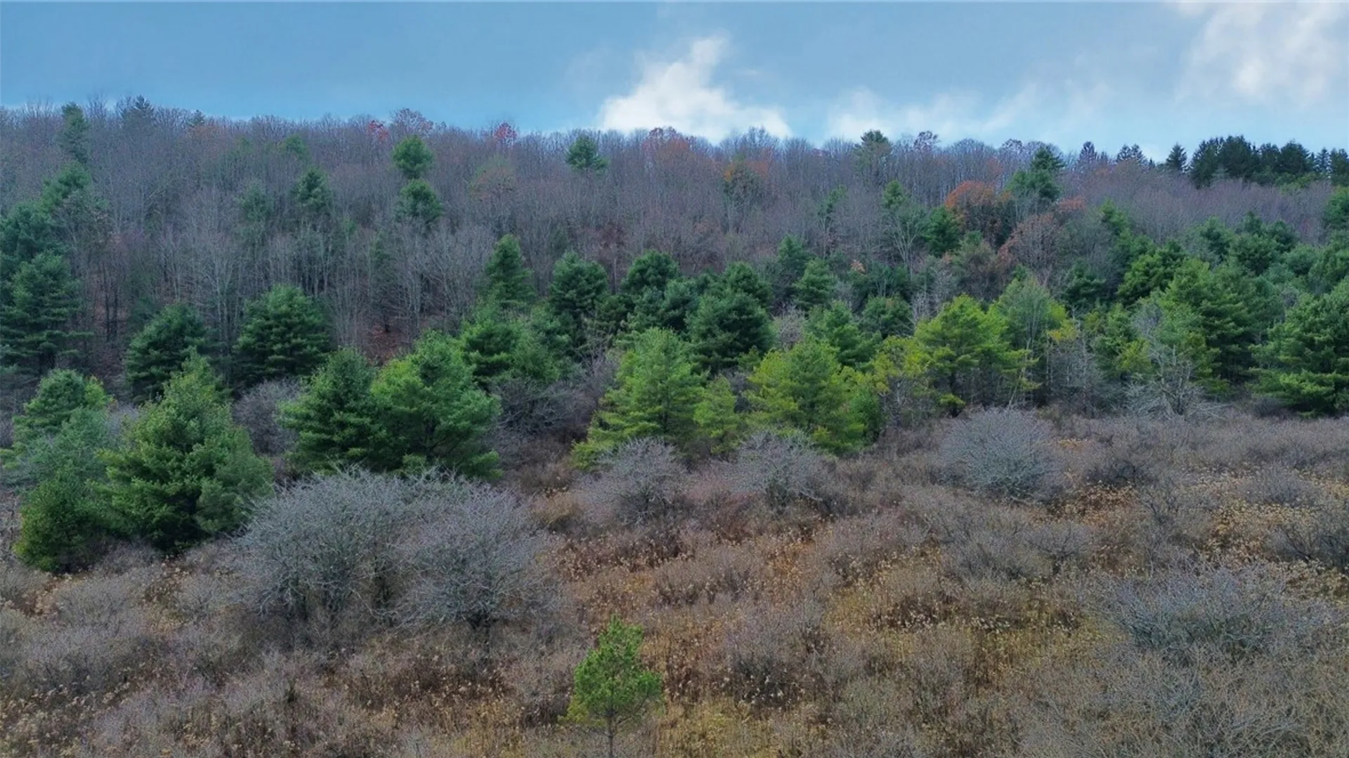 Property at 296 Hugg Road, Baldwin, NY 14901 3