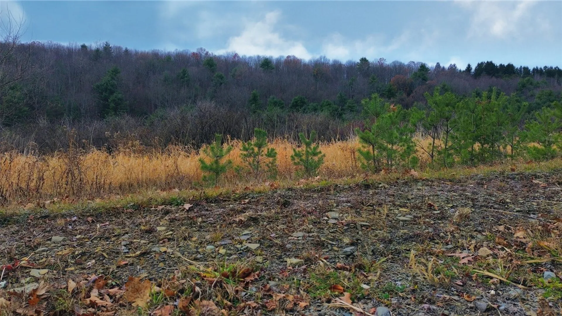 Property at 296 Hugg Road, Baldwin, NY 14901 6