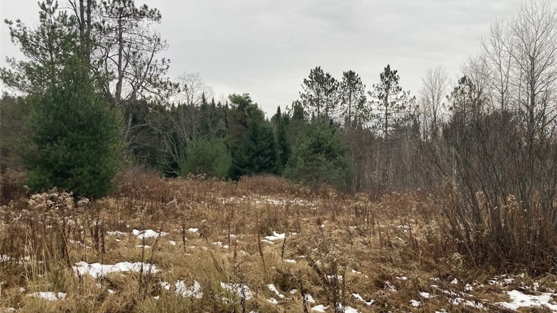 Property at Rt 8, Ohio, NY 13324 3