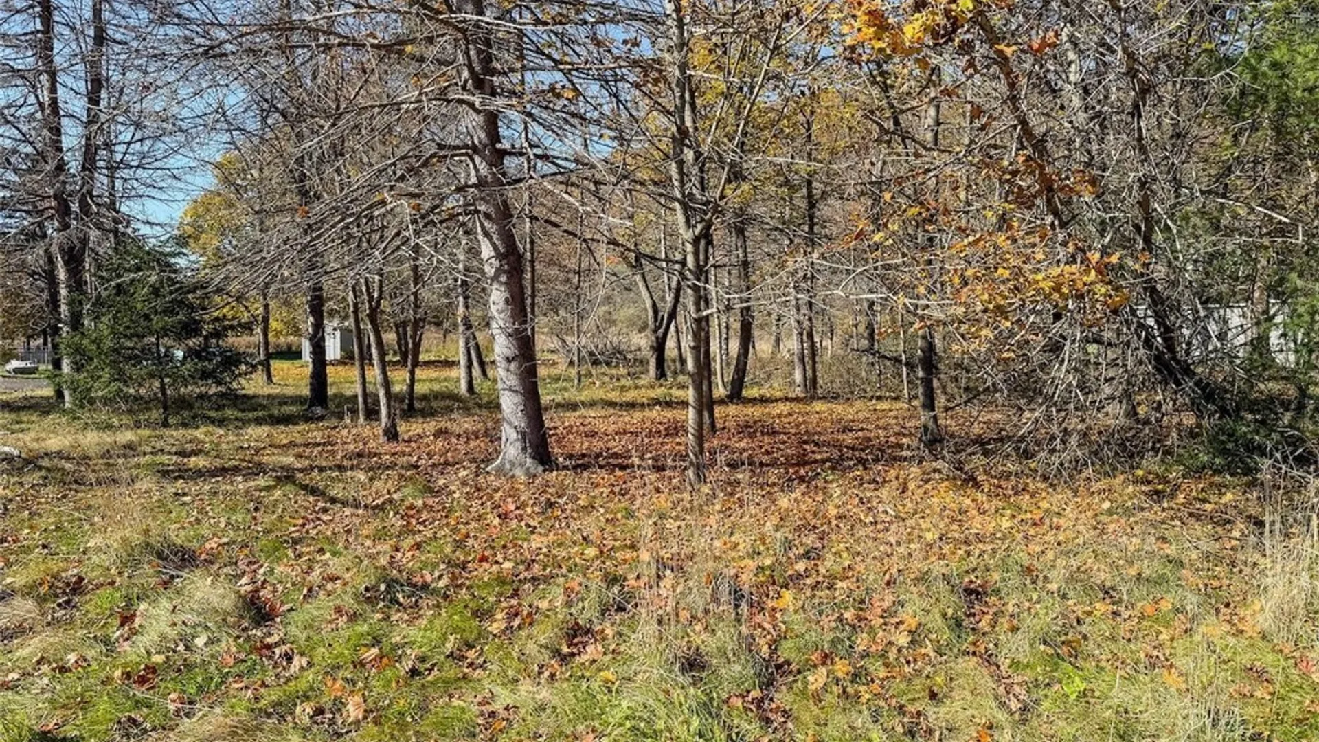 Property at Olcott Road, Big Flats, NY 14814 3