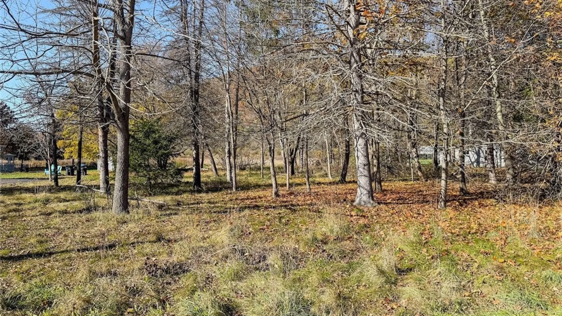 Property at Olcott Road, Big Flats, NY 14814 9