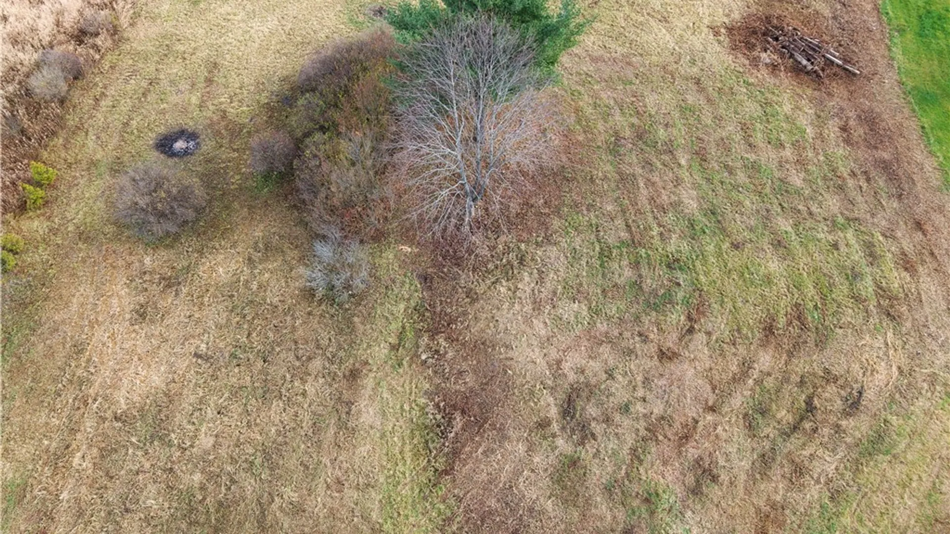 Property at 401 Sheffield Road, Ithaca Town, NY 14850 10