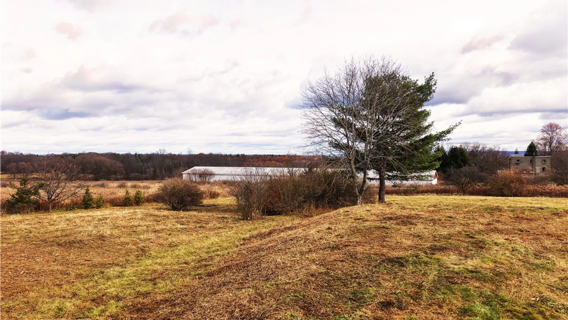 Property at 401 Sheffield Road, Ithaca Town, NY 14850 7