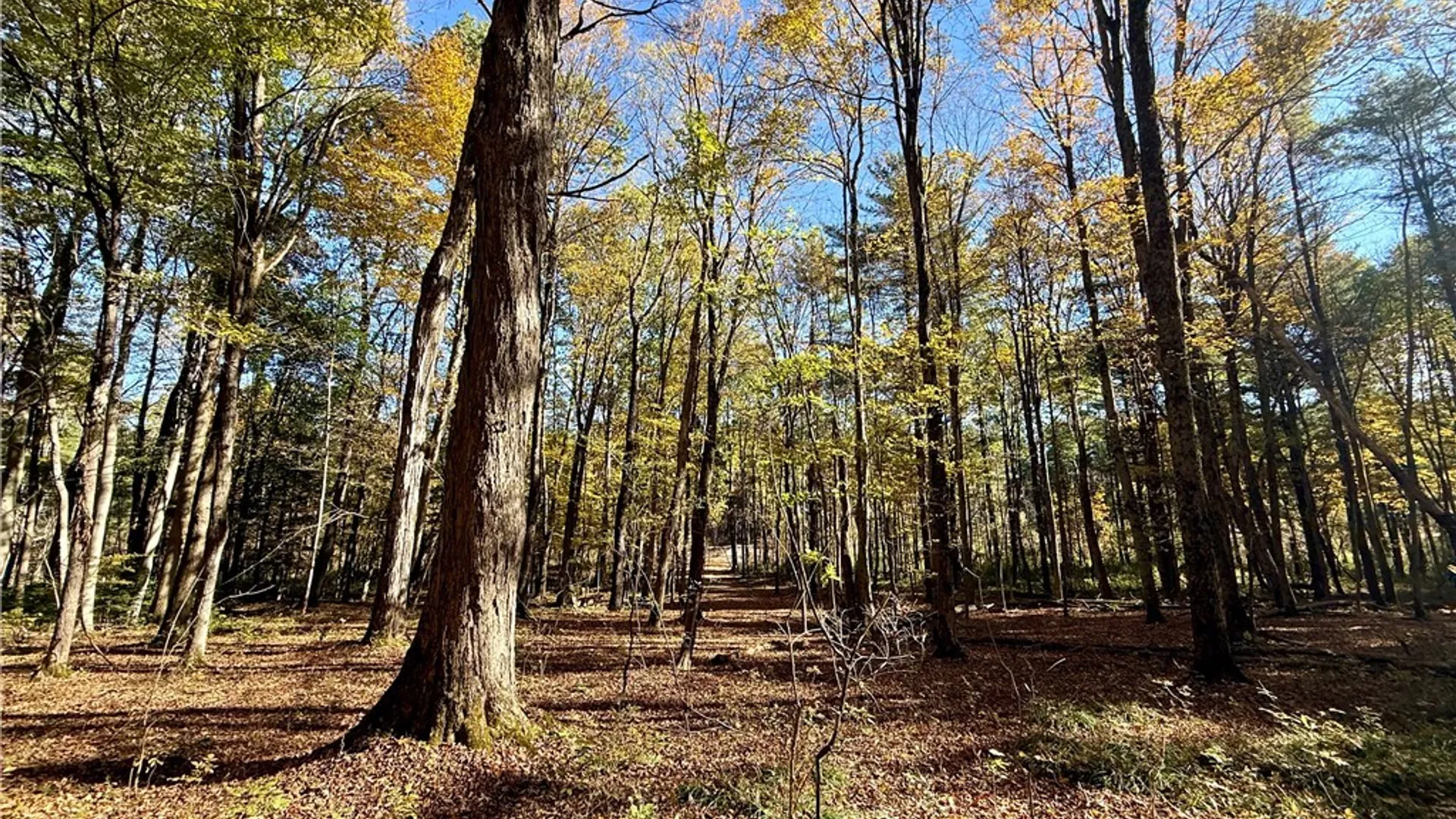 Property at 00 West Lake Road, Cazenovia, NY 13035 10