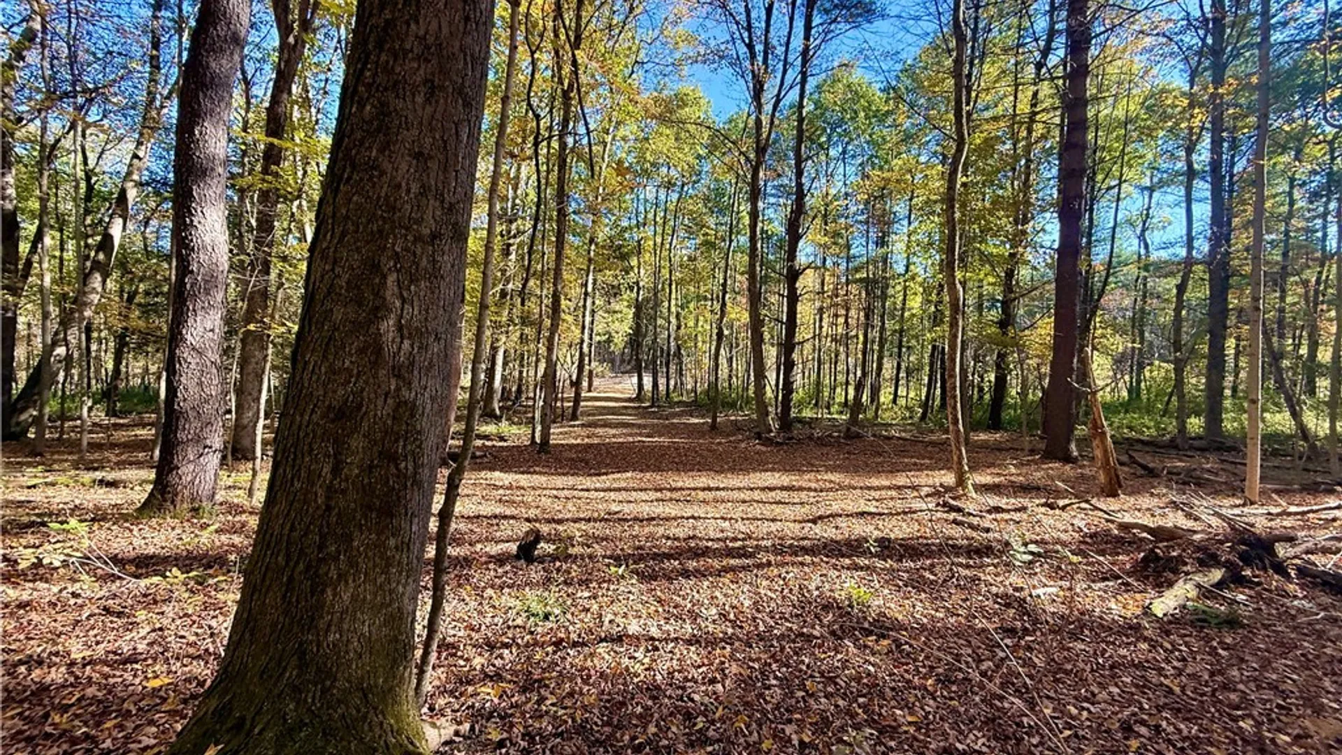 Property at 00 West Lake Road, Cazenovia, NY 13035 11