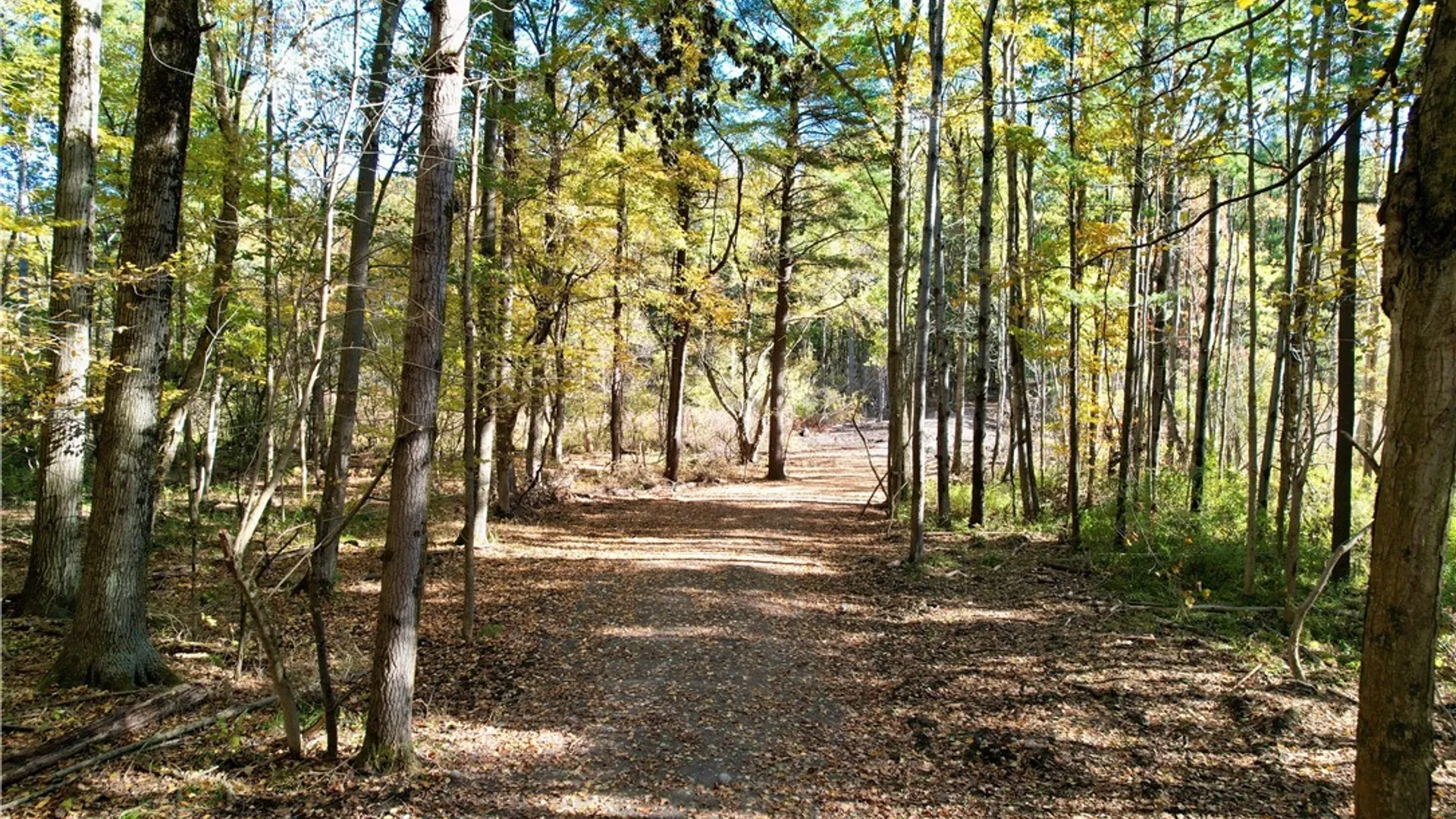 Property at 00 West Lake Road, Cazenovia, NY 13035 2