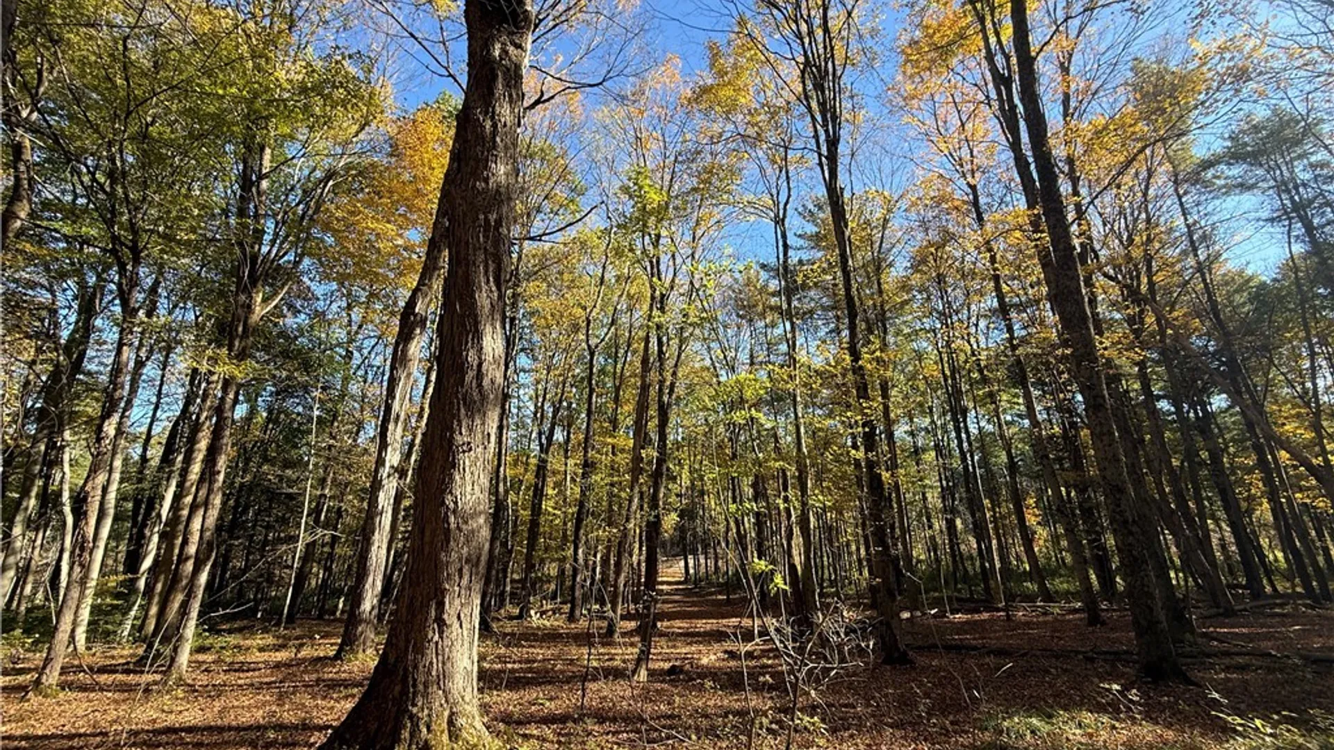 Property at 00 West Lake Road, Cazenovia, NY 13035 4