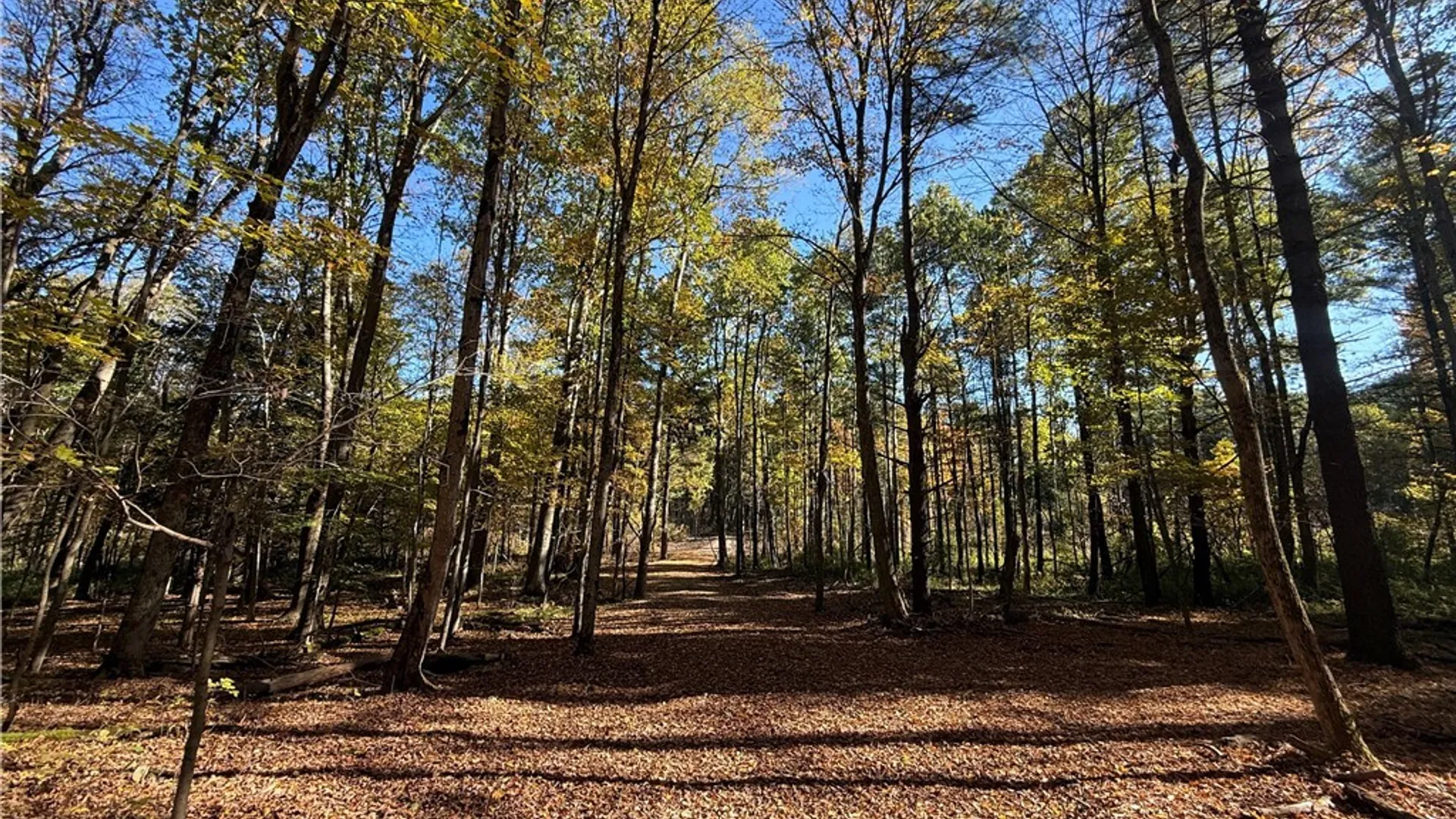 Property at 00 West Lake Road, Cazenovia, NY 13035 5