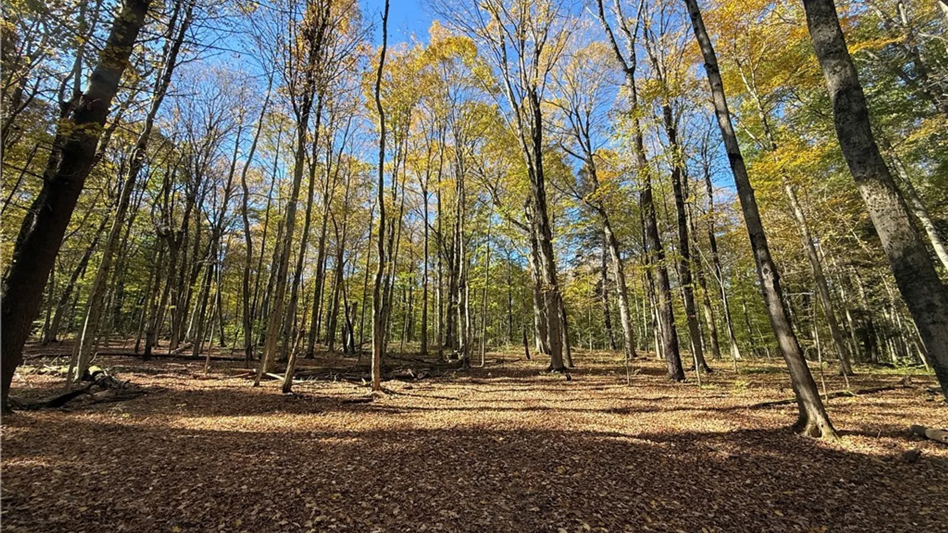 Property at 00 West Lake Road, Cazenovia, NY 13035 6