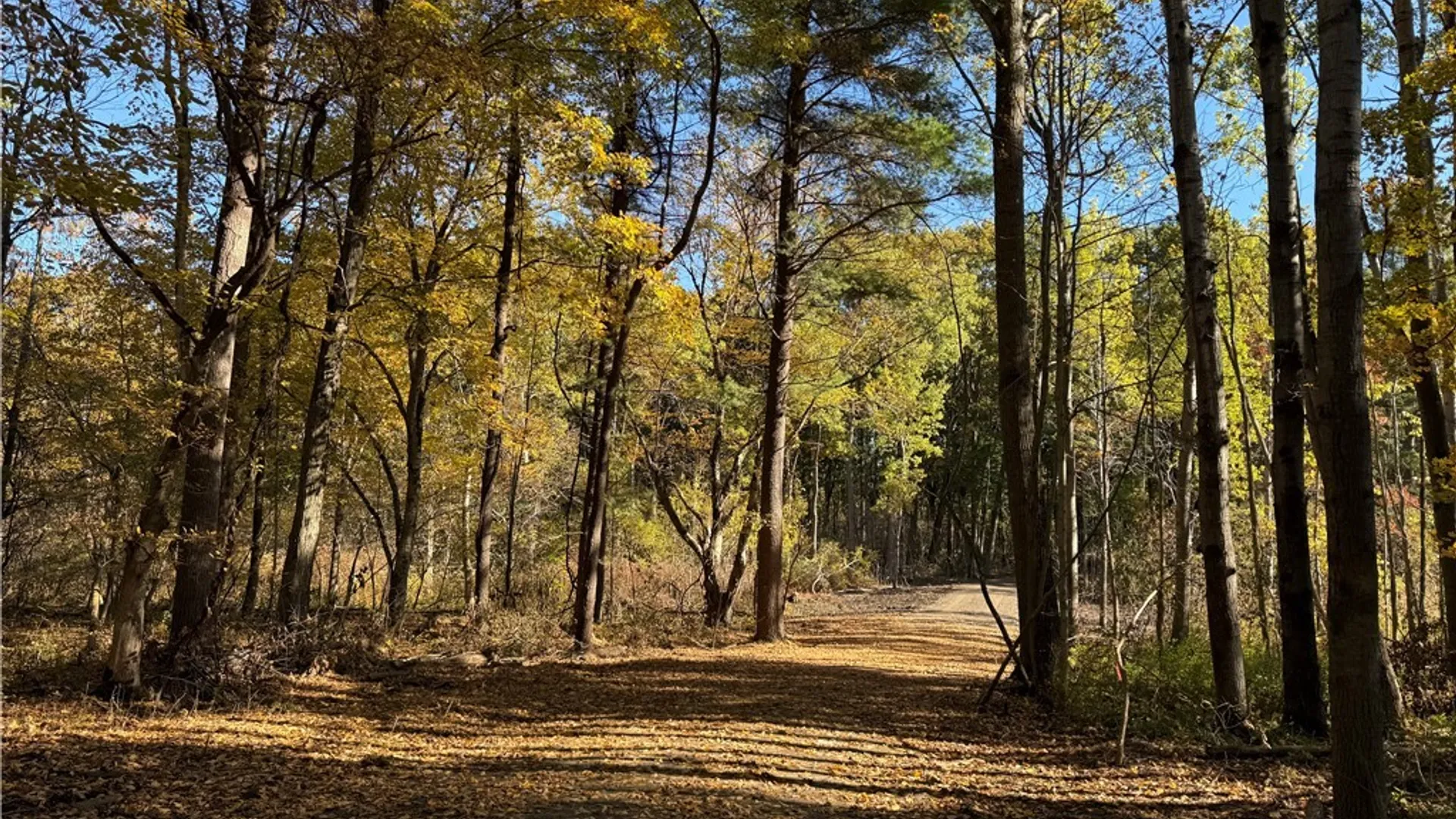 Property at 00 West Lake Road, Cazenovia, NY 13035 7