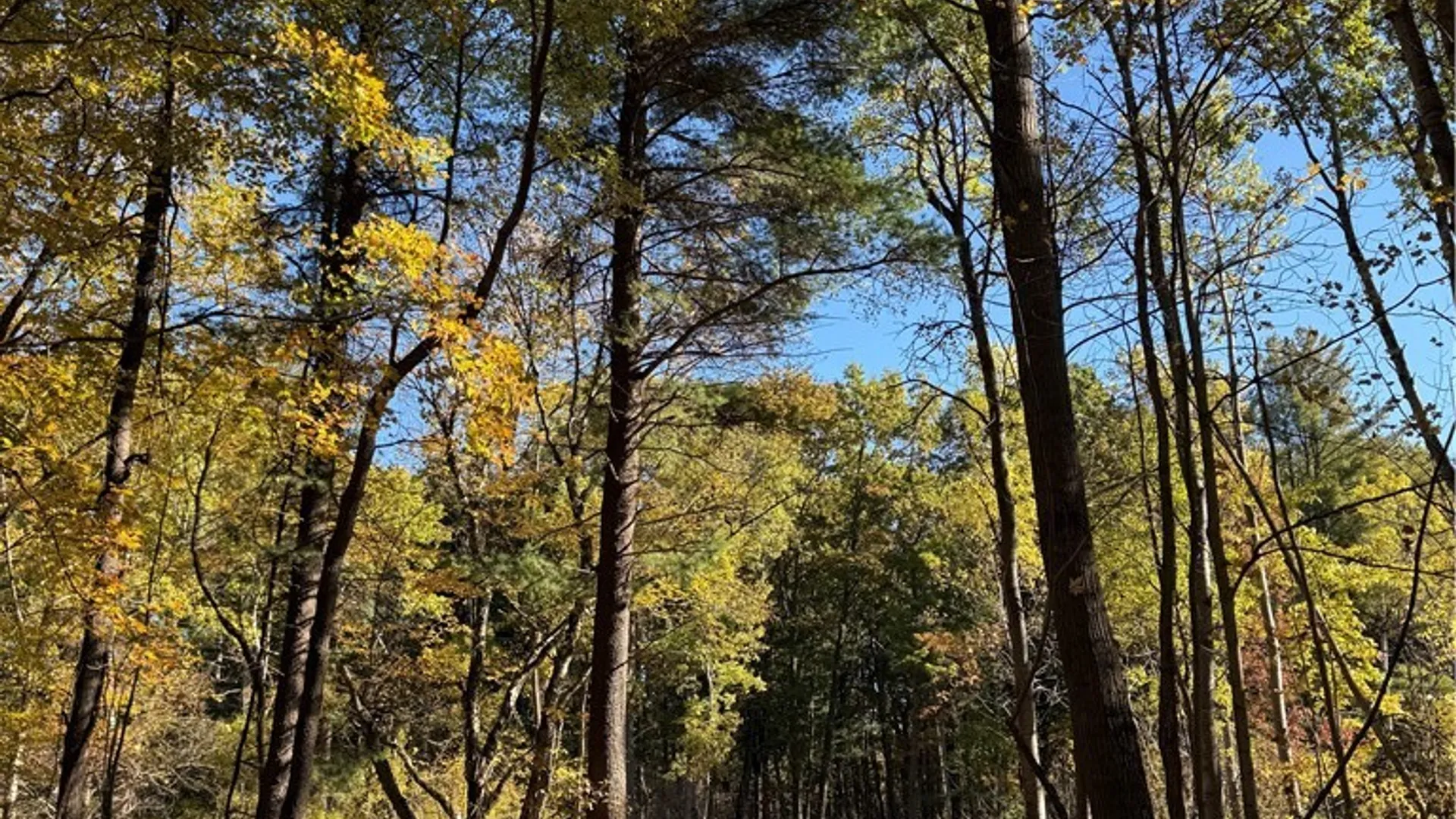 Property at 00 West Lake Road, Cazenovia, NY 13035 8