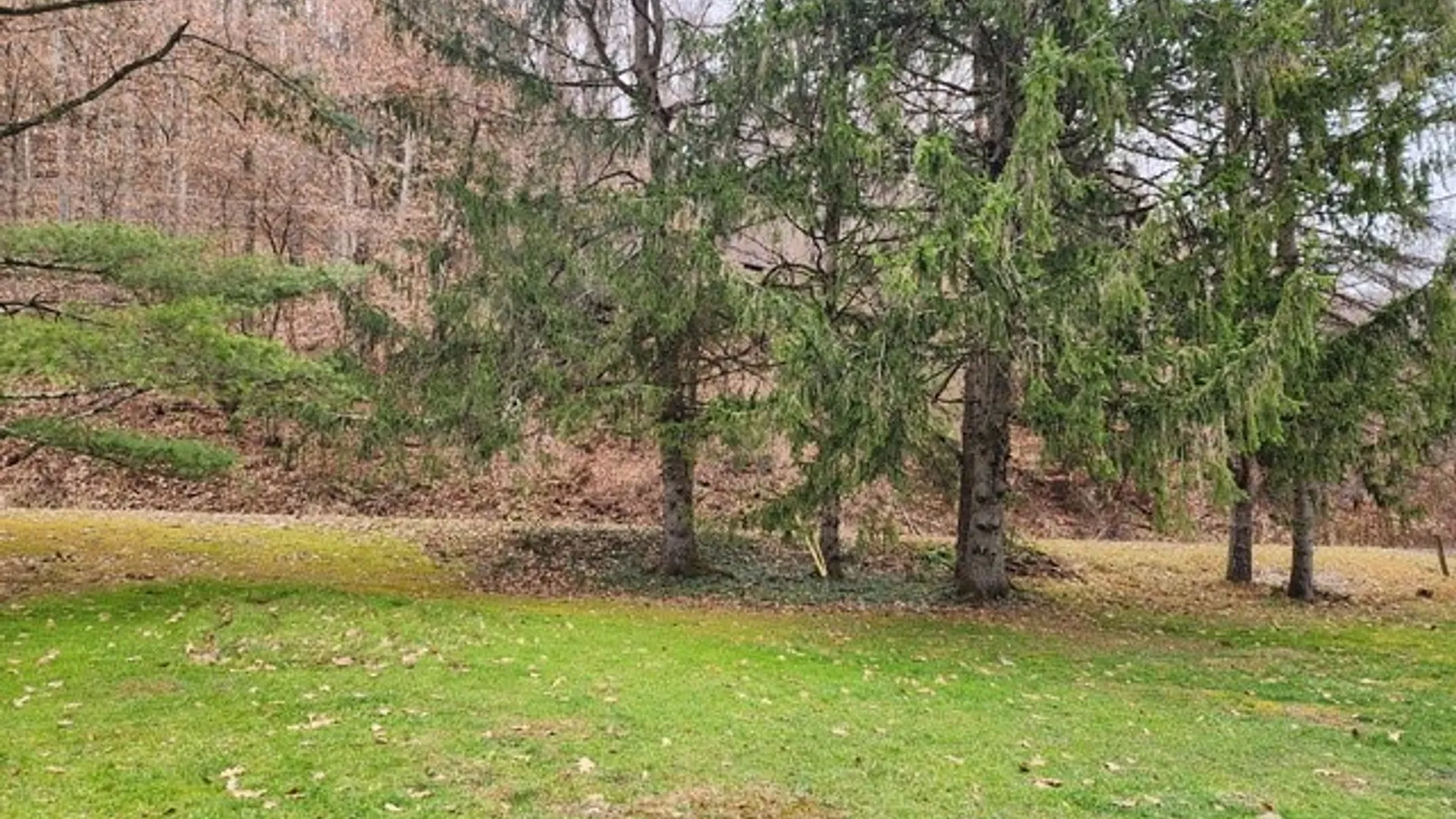 Property at 221 Bobbys Run Road, Shippen Twp, PA 15834 4