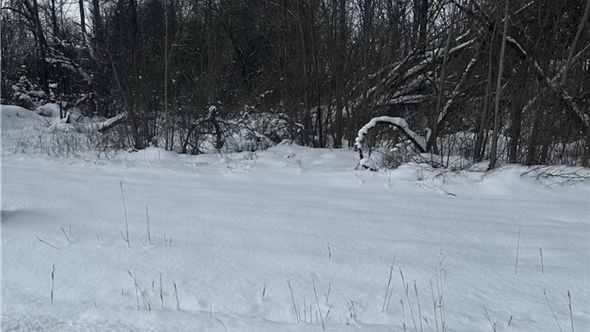 Property at Creek Road, Lewiston, NY 14092 2