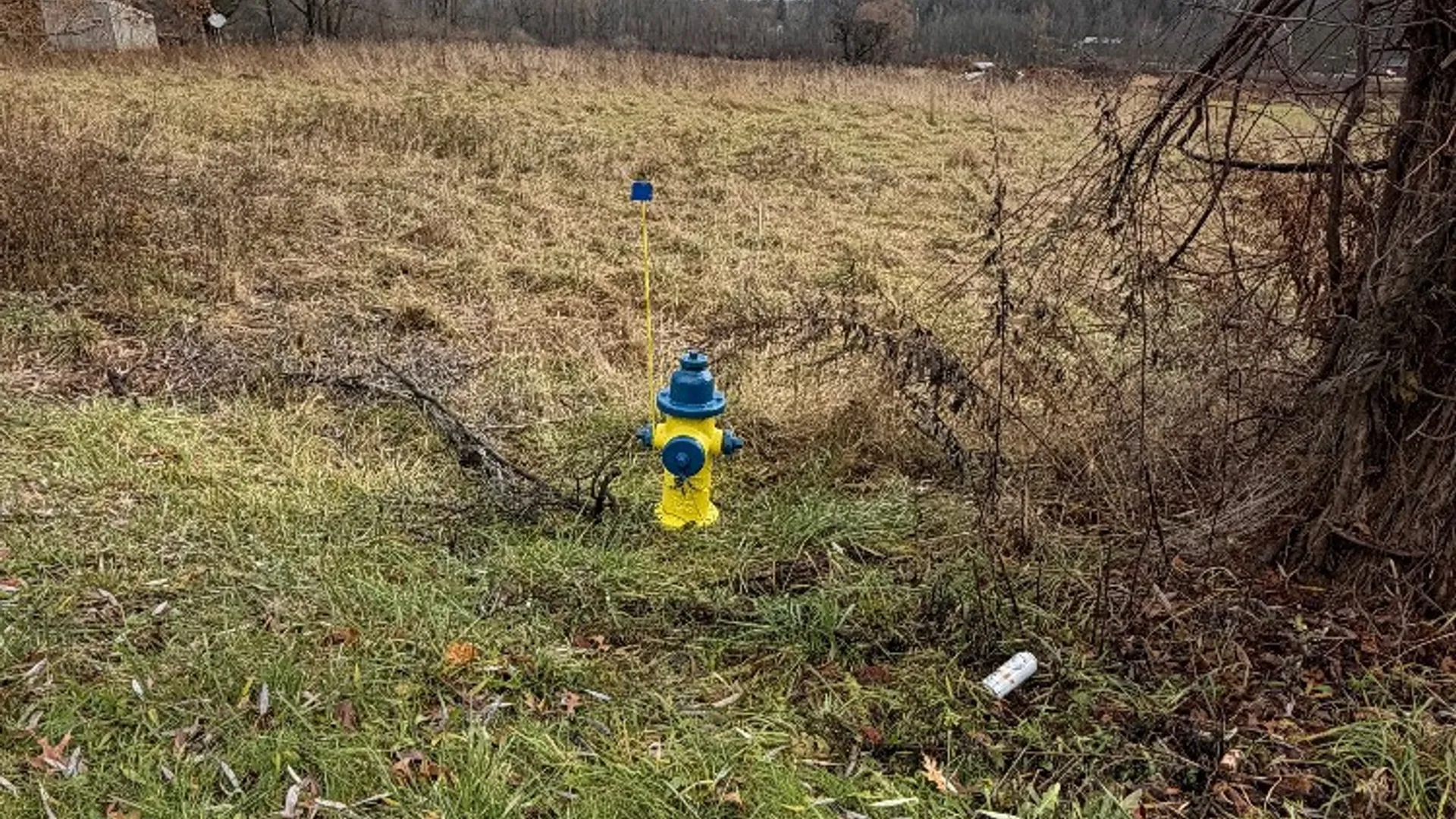 Property at Hall Center Road, Marion, NY 14568 2