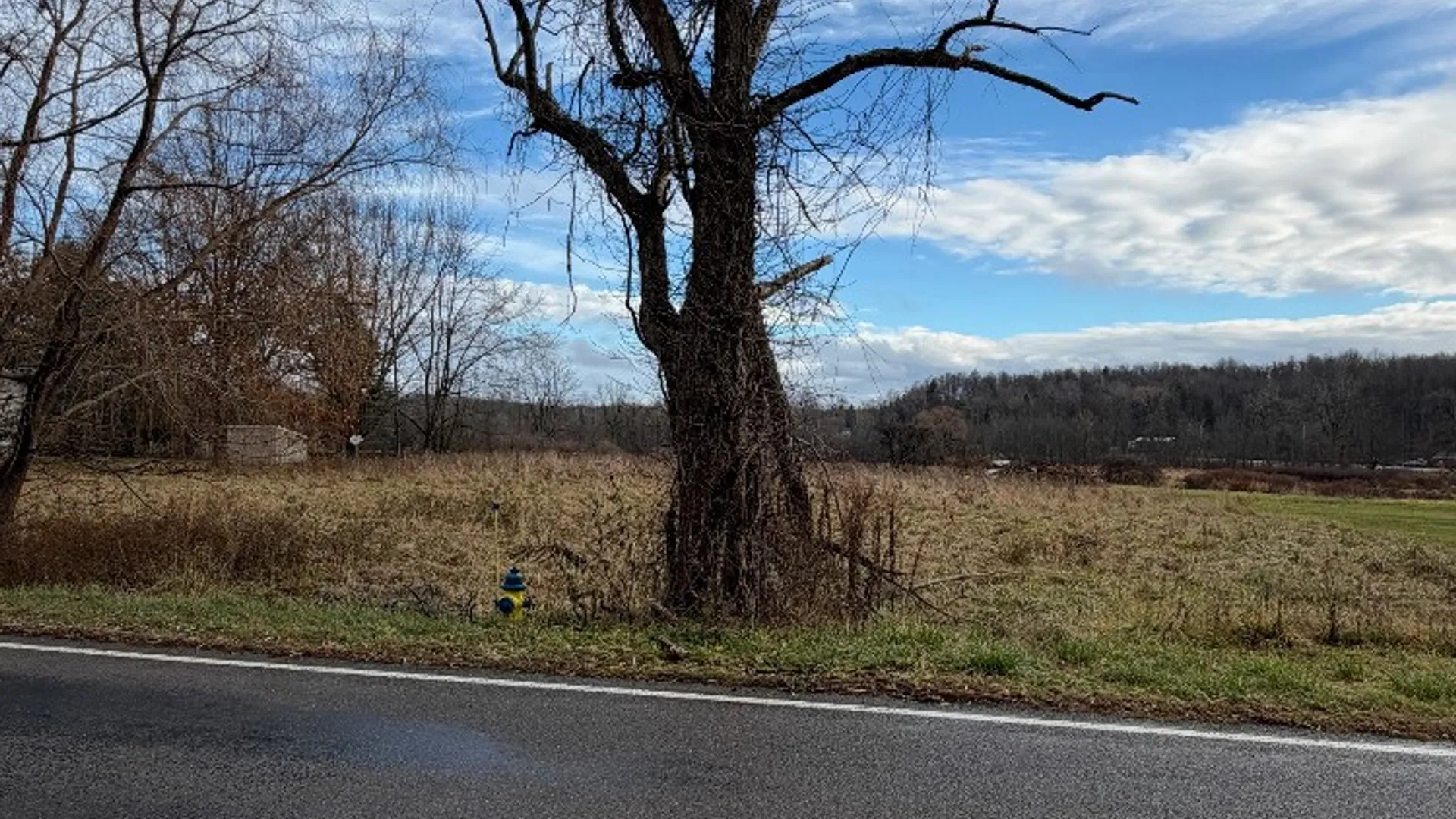 Property at Hall Center Road, Marion, NY 14568 3