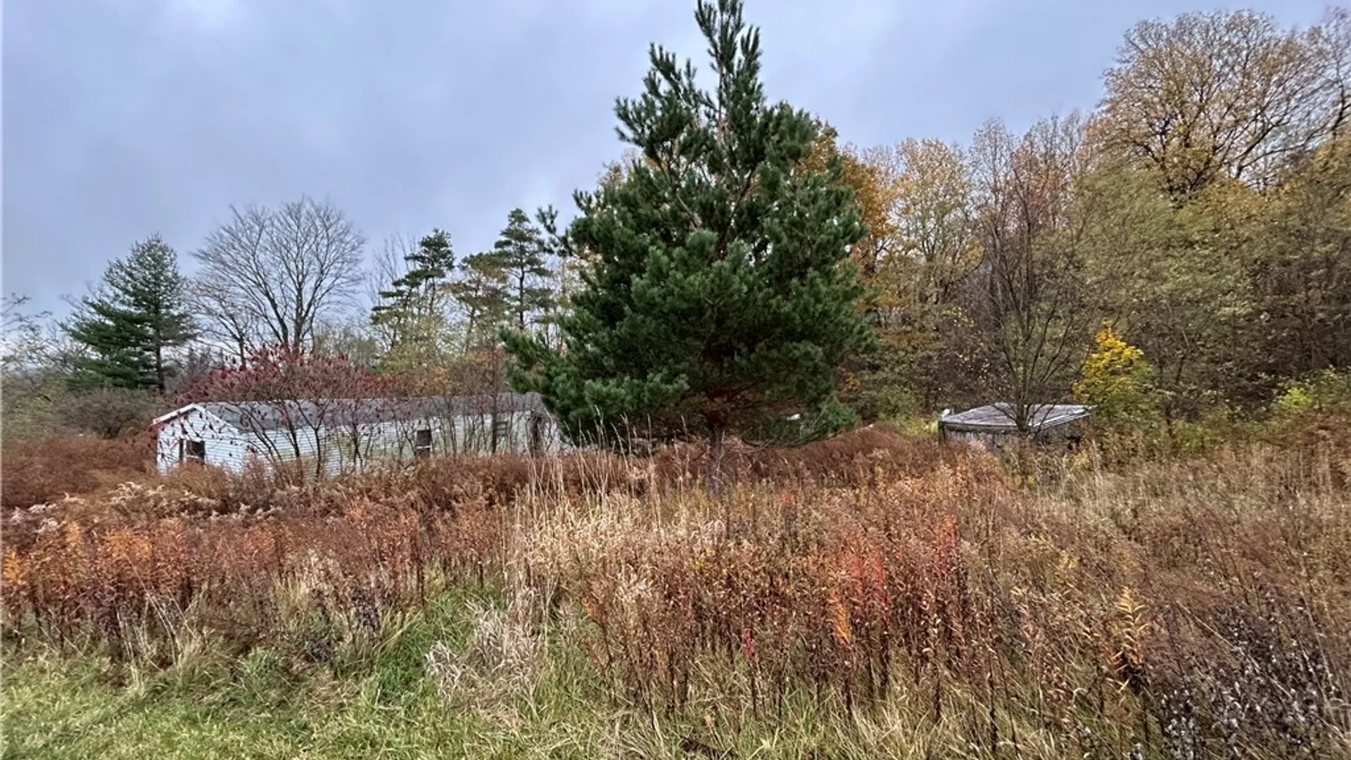 Property at 6376 Cemetery Road, Ripley, NY 14775 3