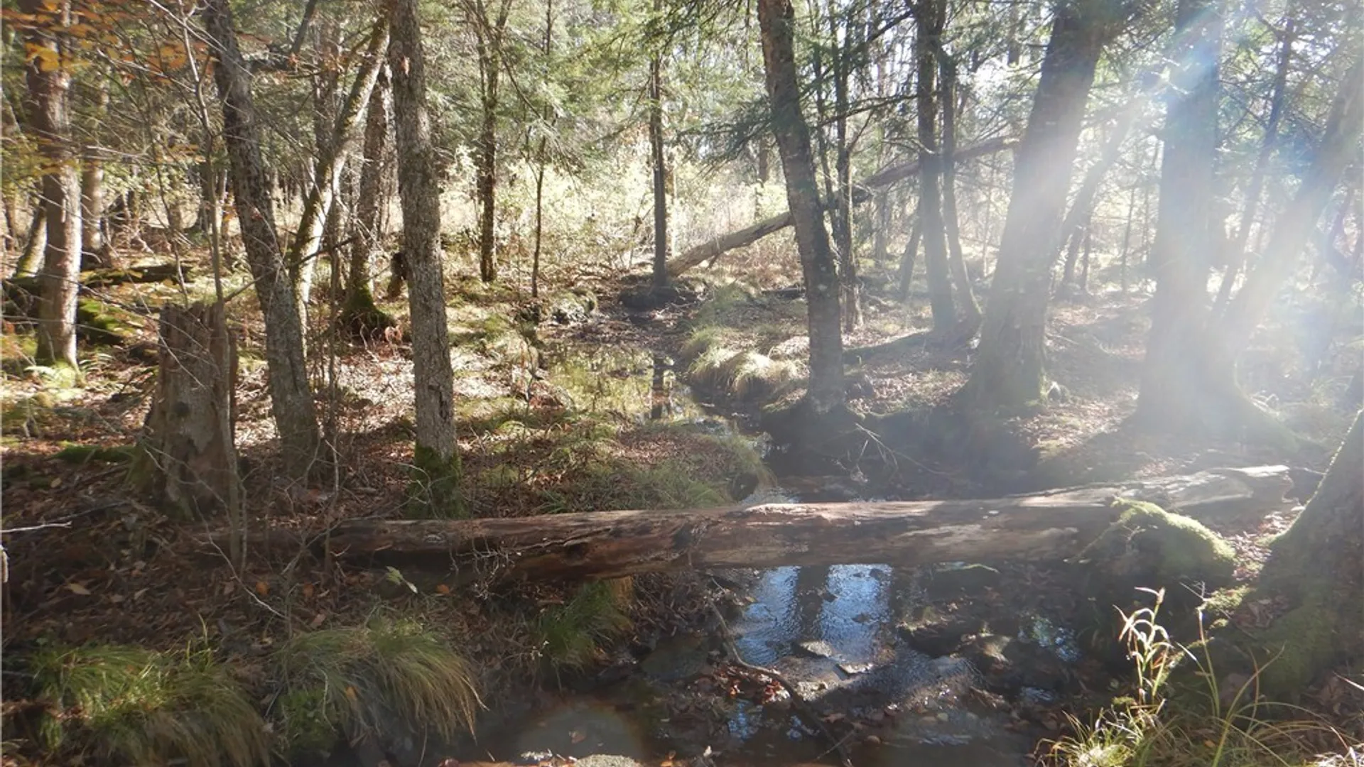 Property at Route 220, Mc Donough, NY 13830 13