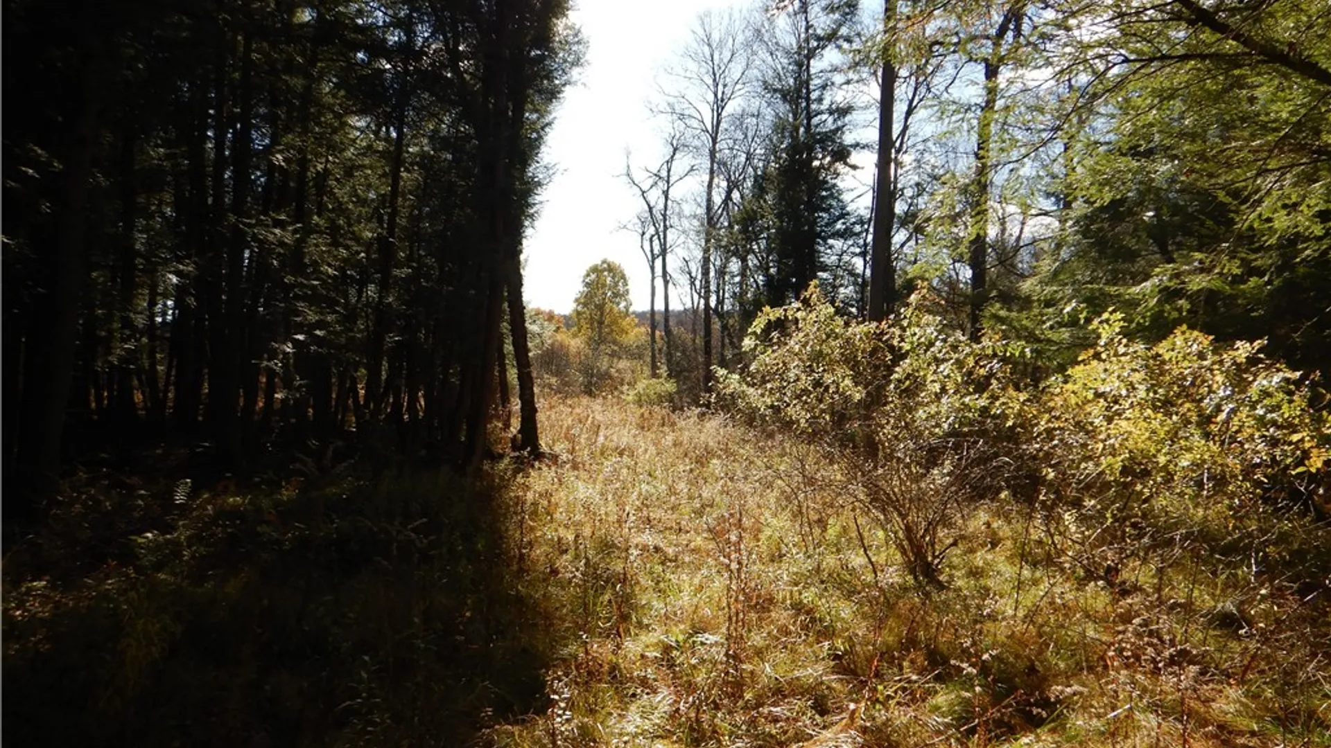 Property at Route 220, Mc Donough, NY 13830 16