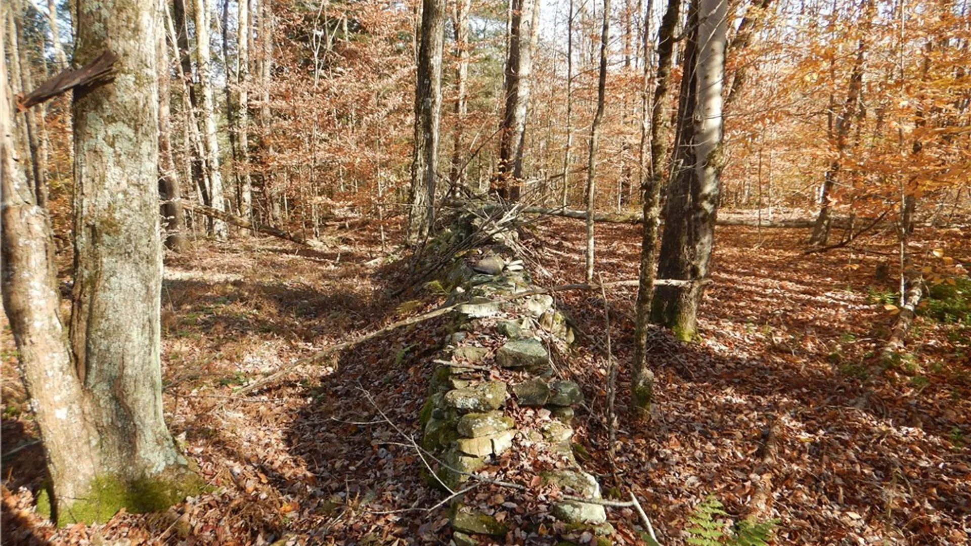Property at Route 220, Mc Donough, NY 13830 21